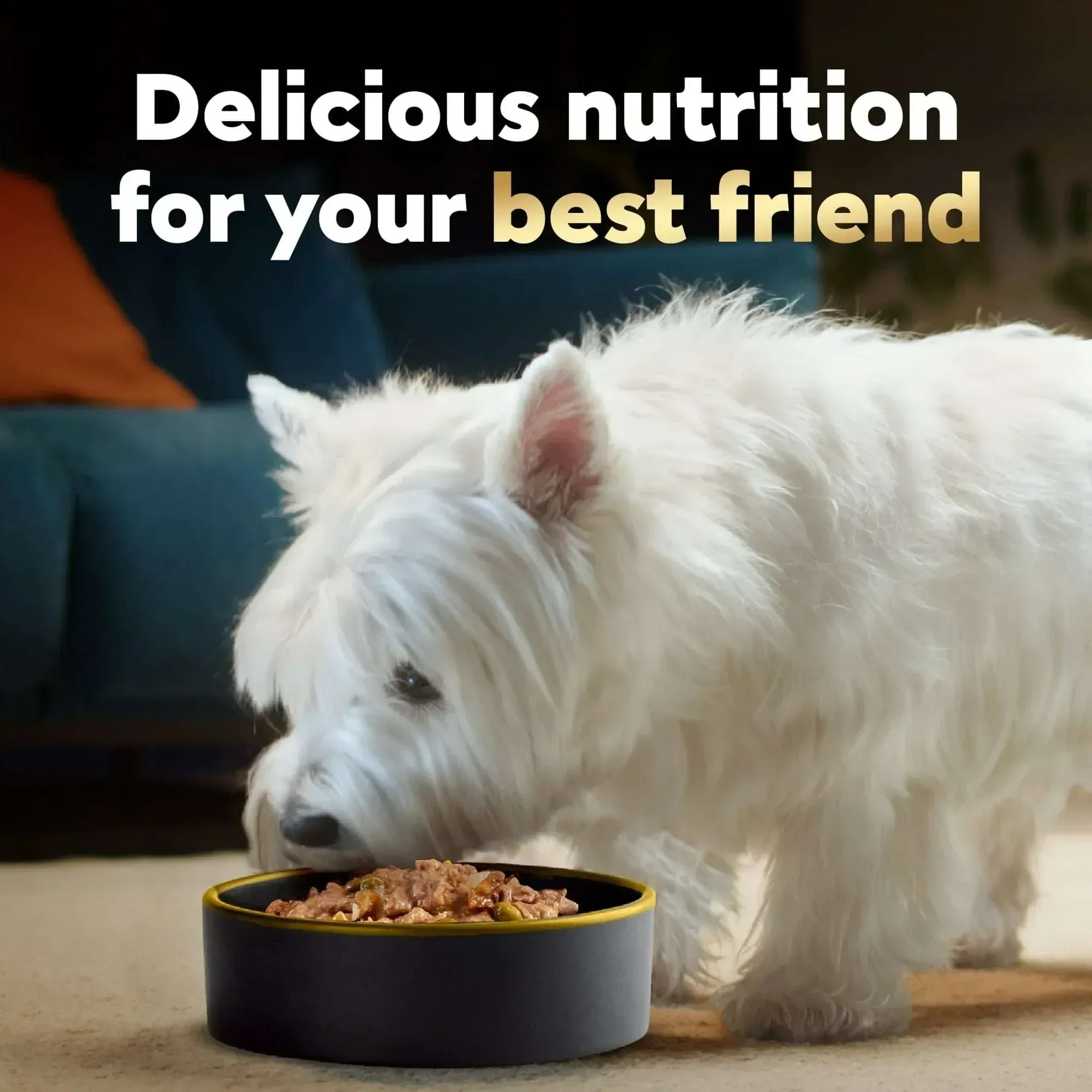 Cesar Home Delights Turkey, Green Beans & Potatoes Dog Food Adult, 3.5 Oz. - Image 7