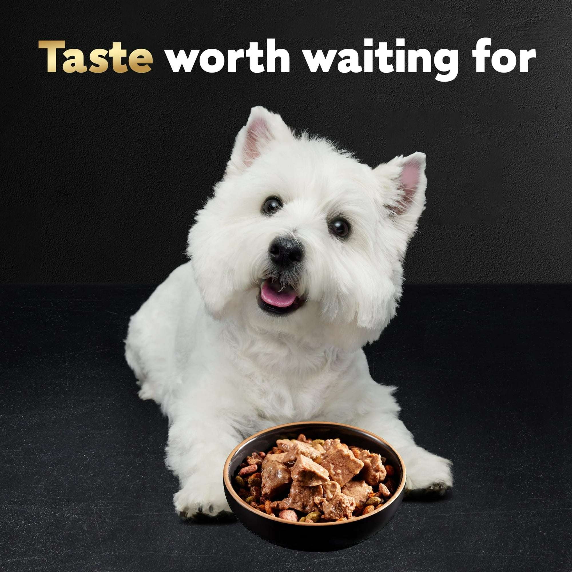 Cesar Loaf And Topper In Sauce Wet Dog Food Variety Pack, 3.5 Oz Trays (24 Pack) - Image 6