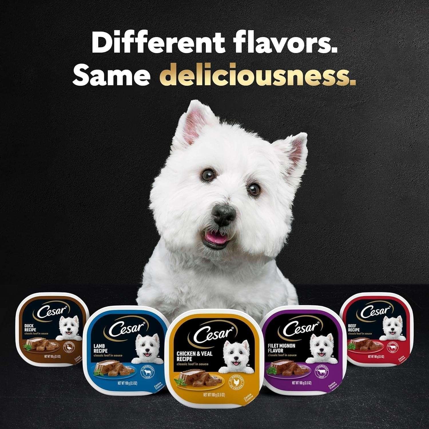 CESAR Soft Wet Dog Food Classic Loaf in Sauce Filet Mignon Flavor, 3.5 oz. Easy Peel tray - Image 16