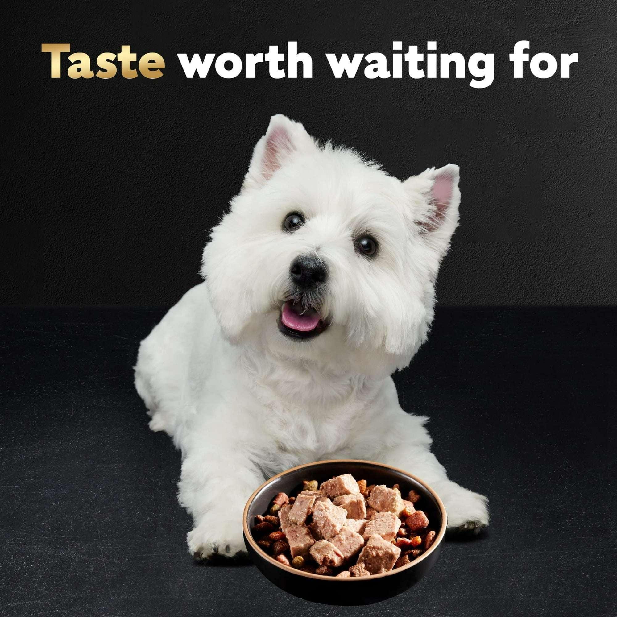 CESAR Soft Wet Dog Food Classic Loaf in Sauce Filet Mignon Flavor, 3.5 oz. Easy Peel tray - Image 6