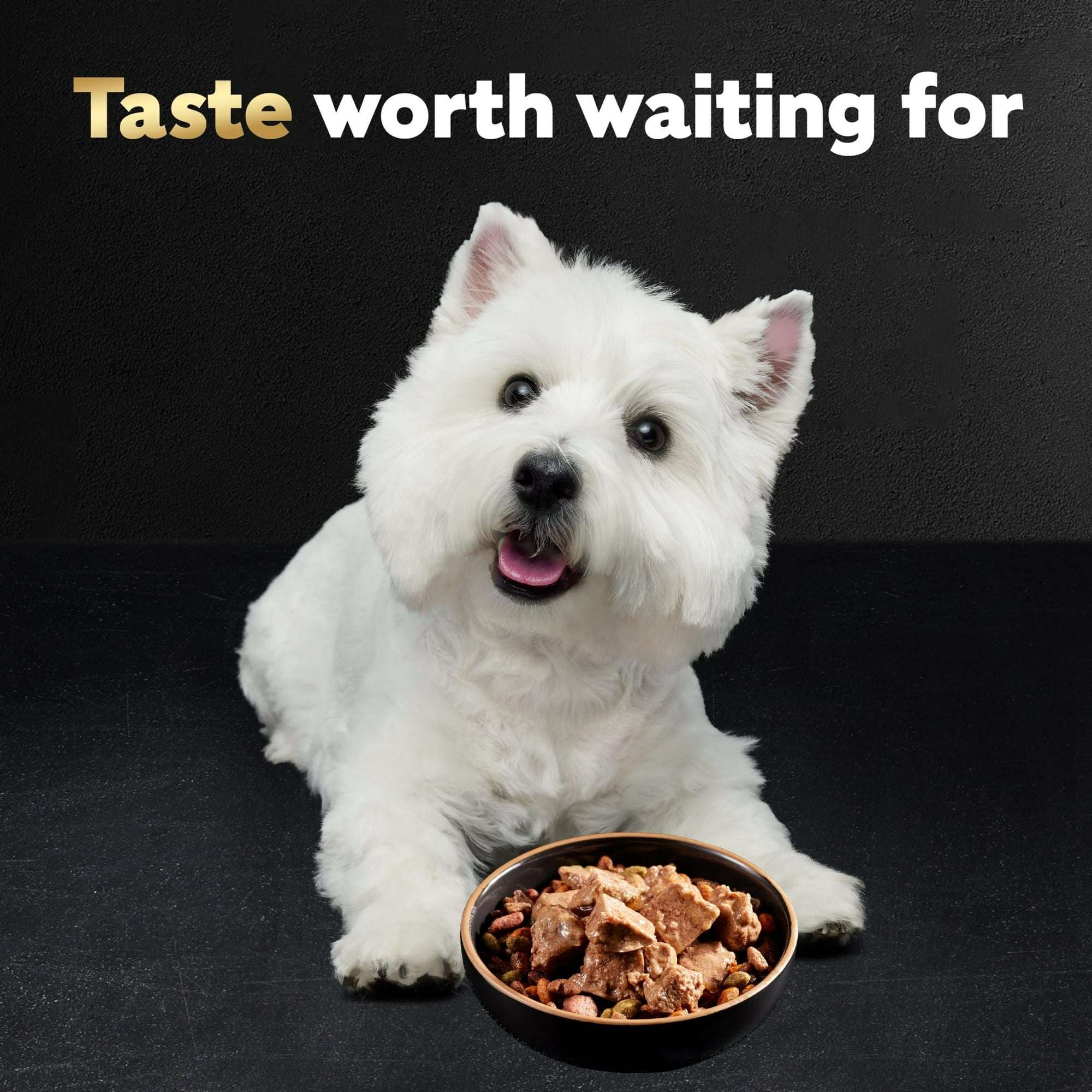 Cesar Steak And Chicken Lovers Wet Dog Food Variety Pack, 3.5 Oz Trays (36 Pack) - Image 4