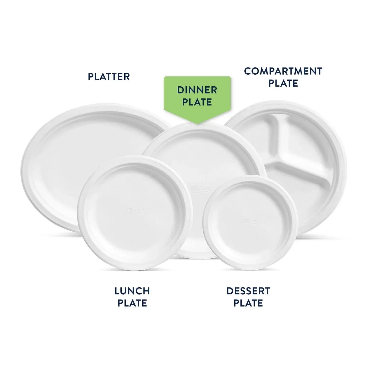 Chinet Classic 10.375" Dinner Plates, 165 ct. - Image 4