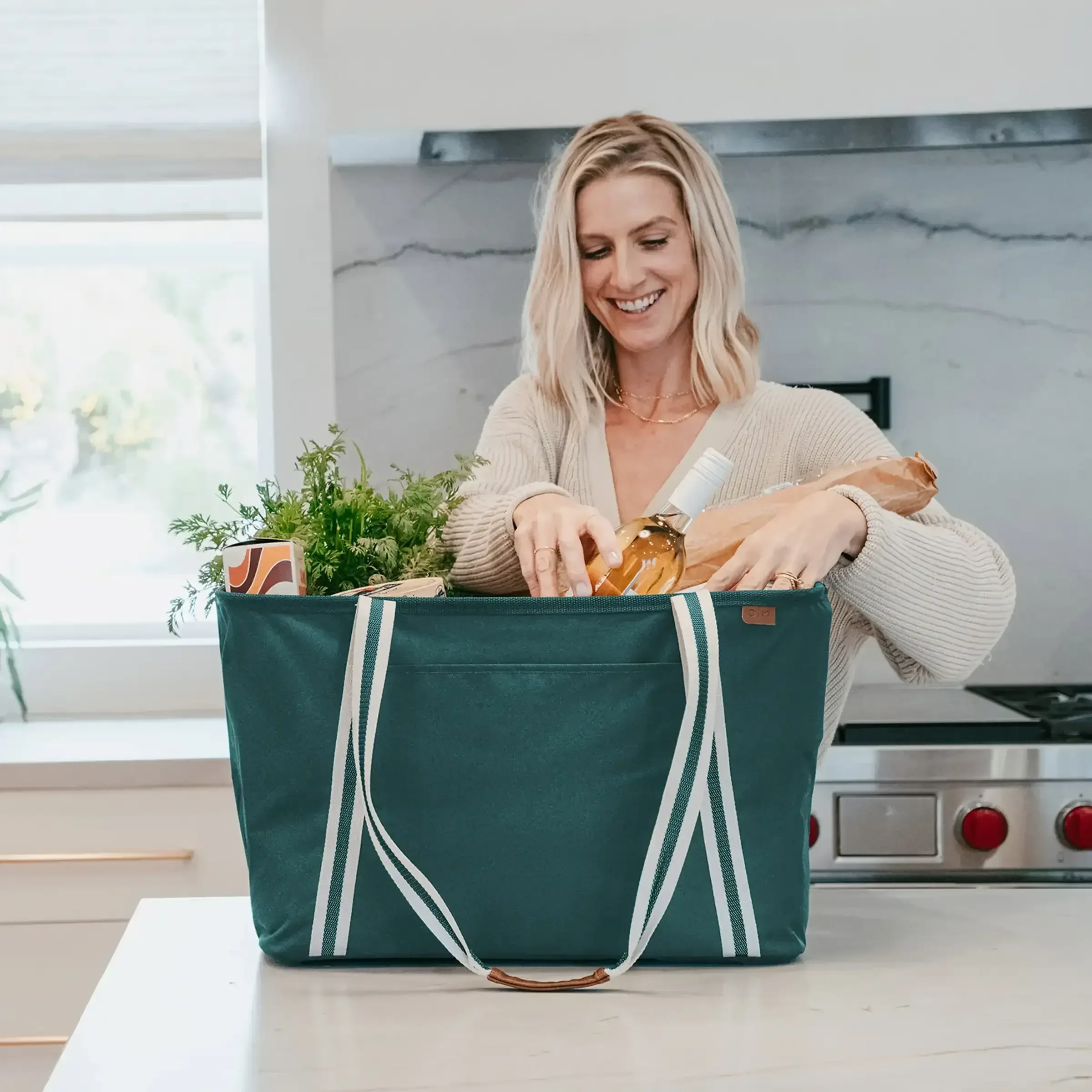 CleverMade Collapsible CarryAll Tote, 2-pack - Image 3