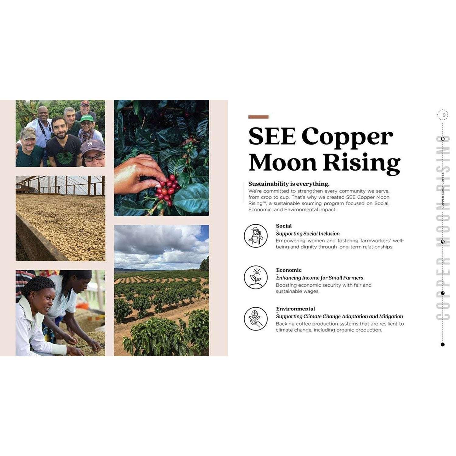 Copper Moon Coffee Medium Roast Ground Coffee, Hawaiian Hazelnut, 40 oz. - Image 6