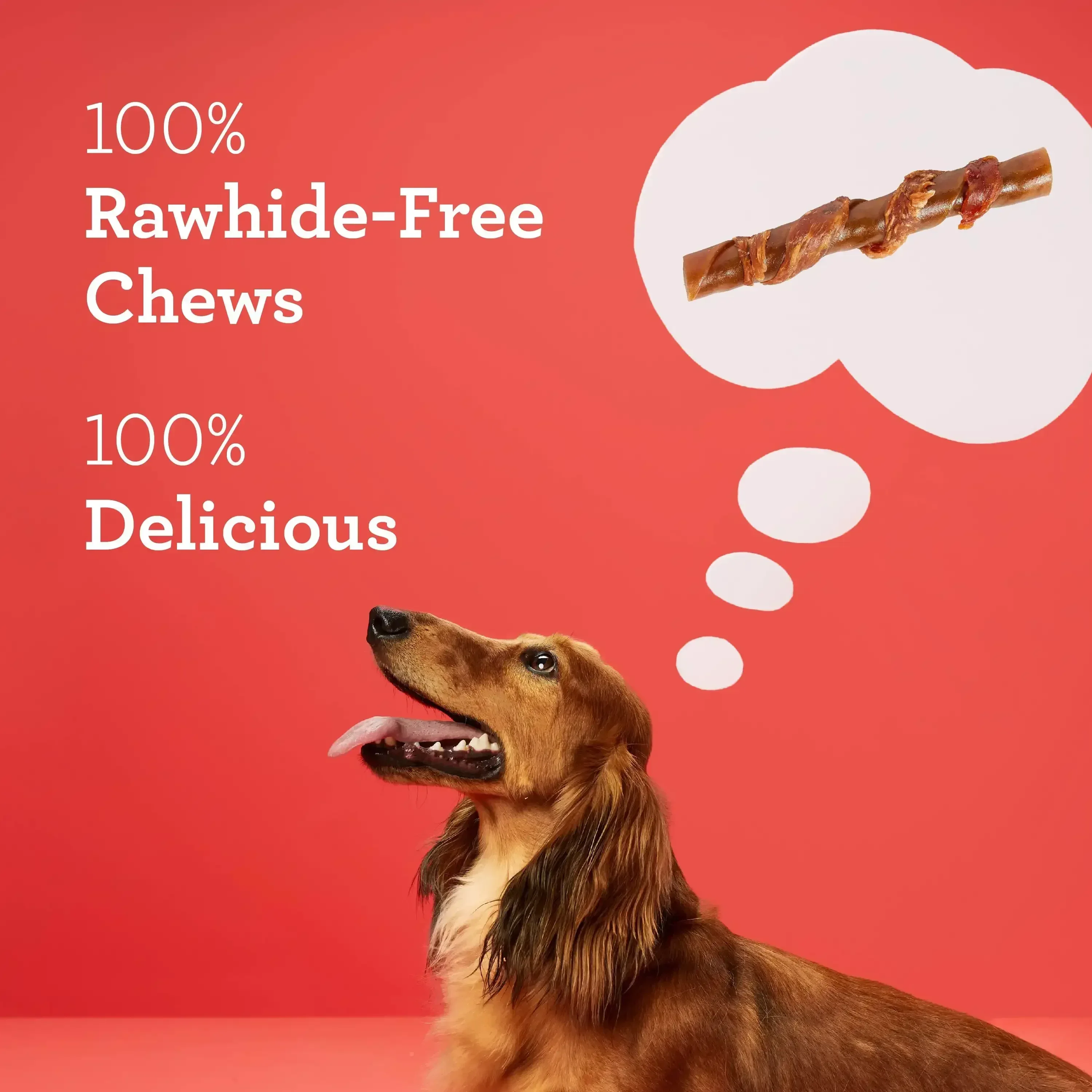 DreamBone Stuffed Twists Rawhide-Free Dog Chews with Real Pork Wrapped with Chicken, 7 Count - Image 6