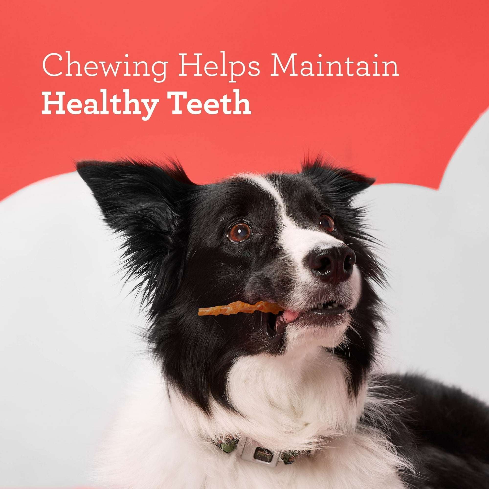 DreamBone Twists Wrapped With Chicken, Made With Real Peanut Butter, No-Rawhide Chews For Dogs, 36 Sticks - Image 6