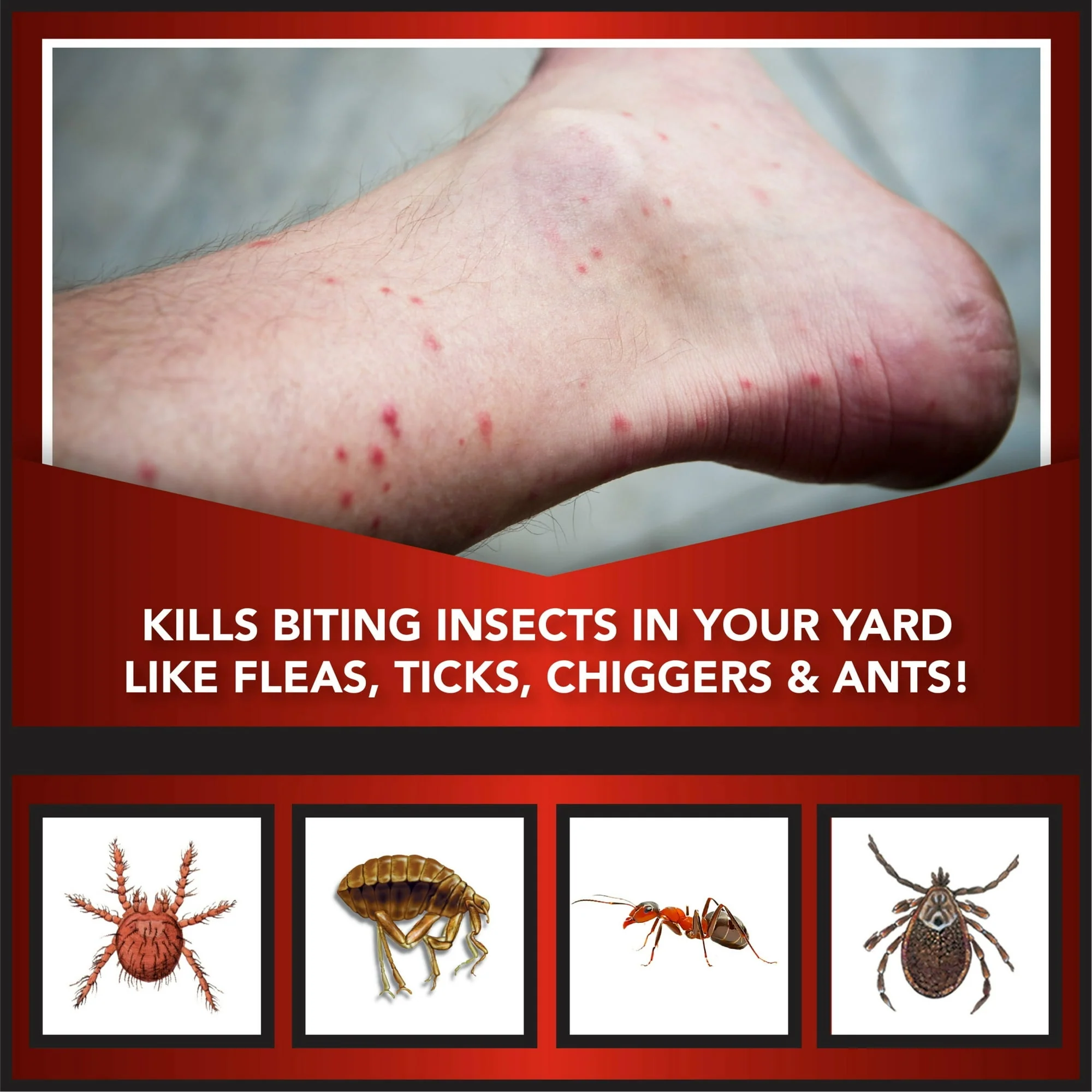 Eliminator Ant, Flea & Tick Killer Plus Lawn Insect Granules Pesticide - Image 3