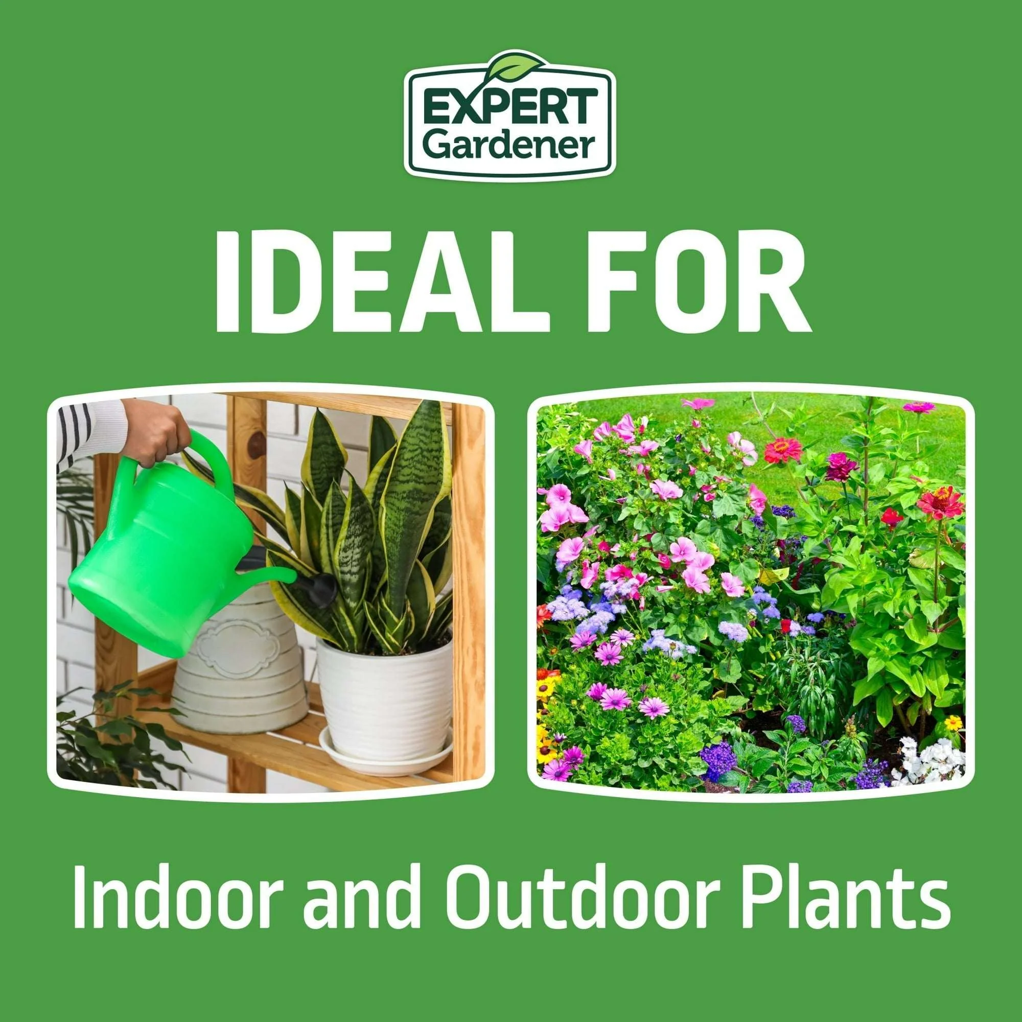 Expert Gardener All-Purpose Water Soluble Plant Food Fertilizer - Image 5