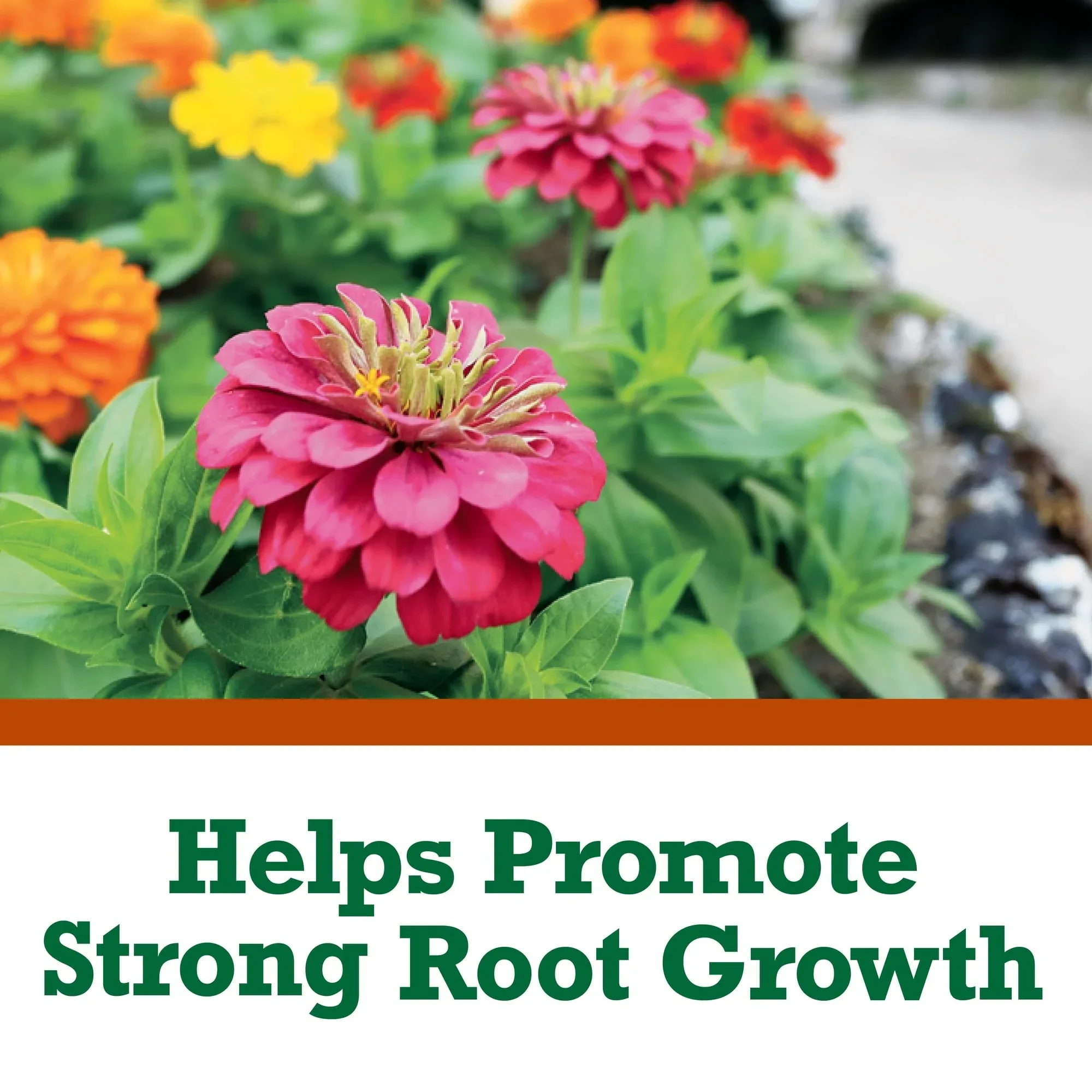 Expert Gardener Garden Soil for In-Ground Plants - Image 16