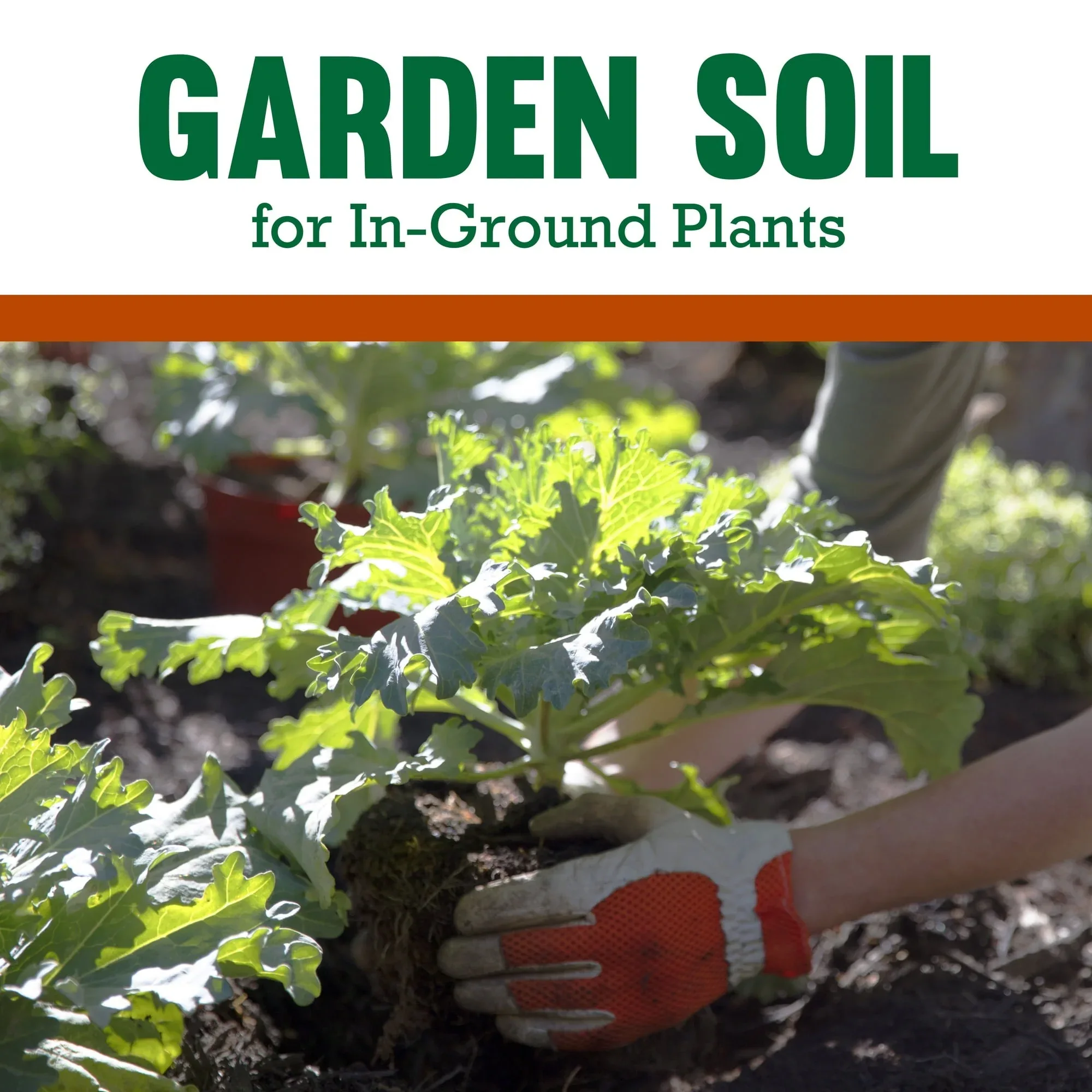 Expert Gardener Garden Soil for In-Ground Plants - Image 17