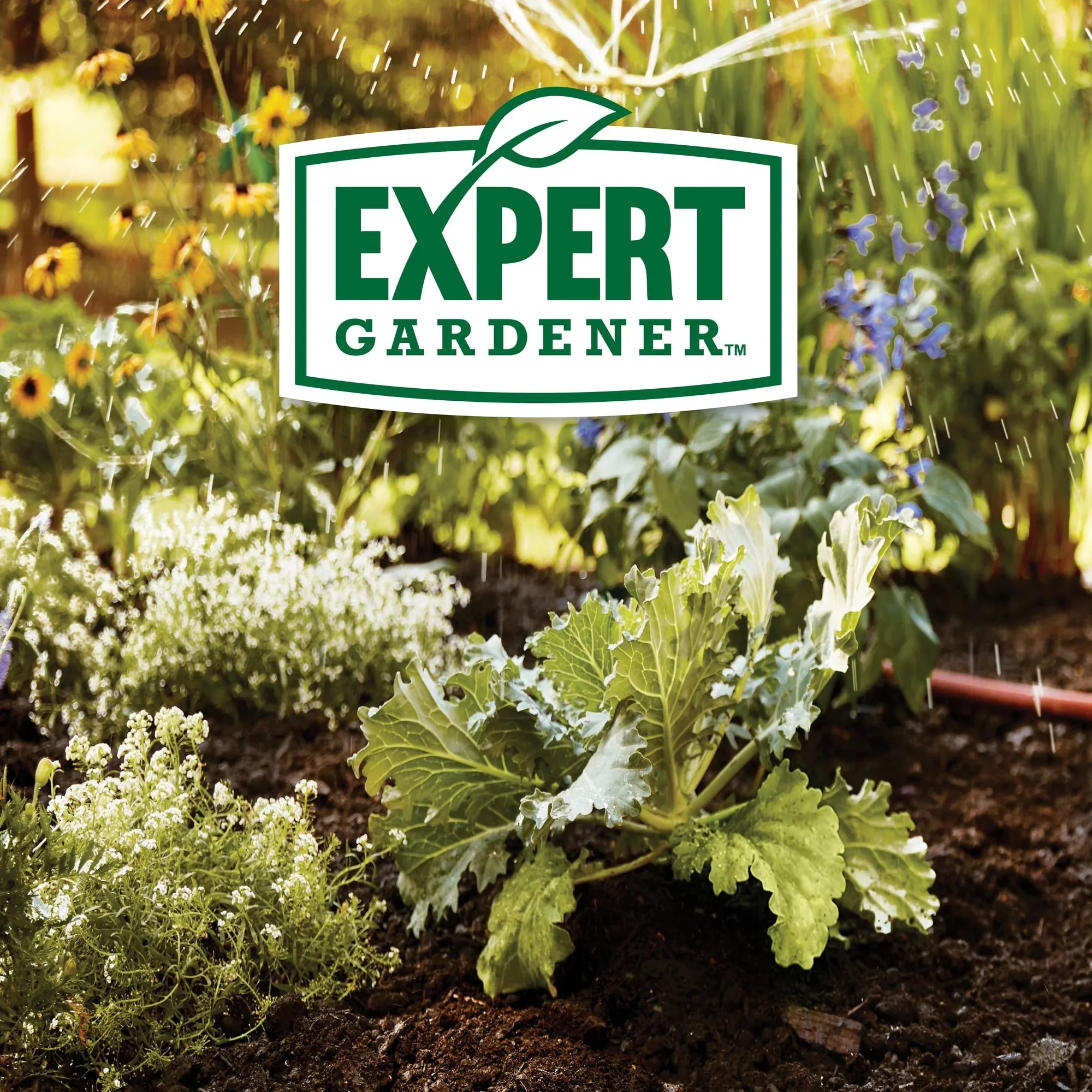 Expert Gardener Garden Soil for In-Ground Plants - Image 18