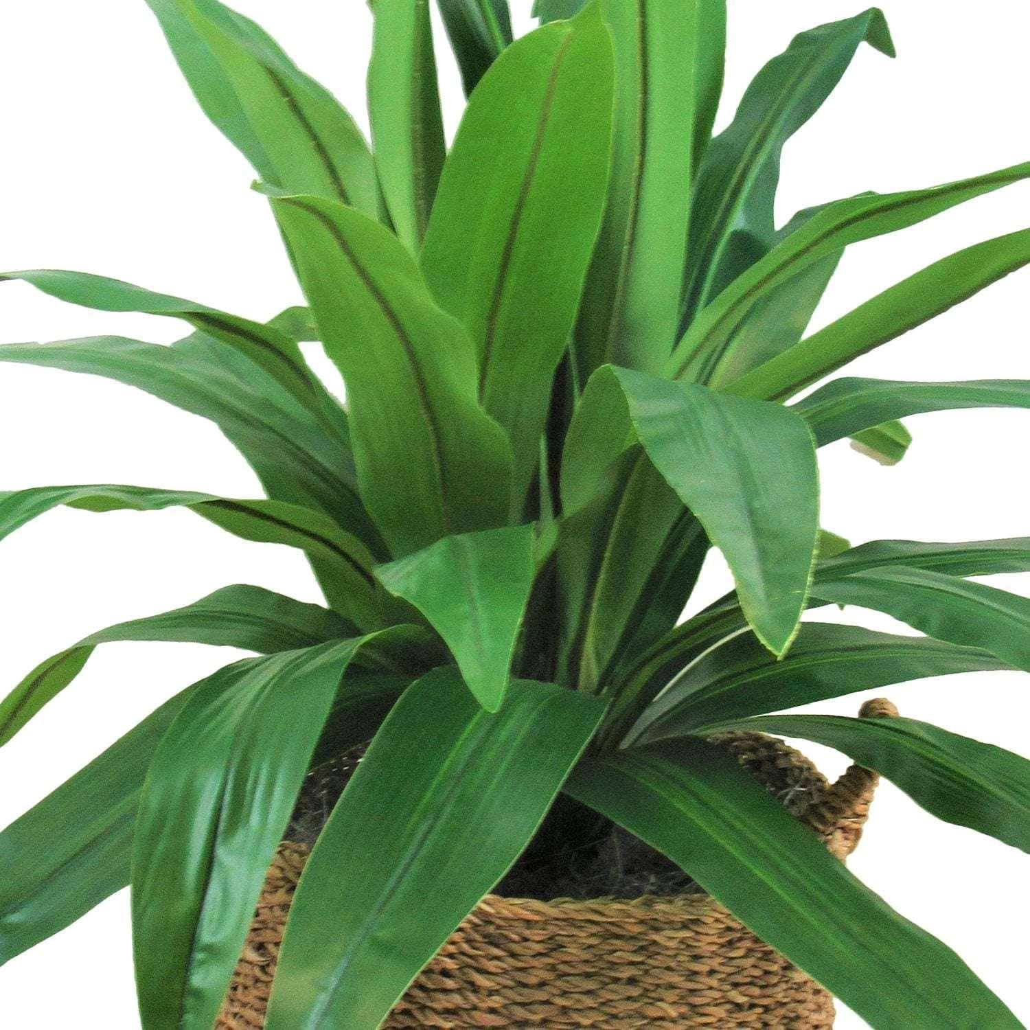 Faux 42" Dracaena in Handwoven Boho-Style Basket - Image 2