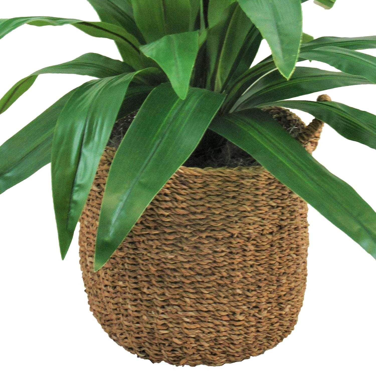 Faux 42" Dracaena in Handwoven Boho-Style Basket - Image 3