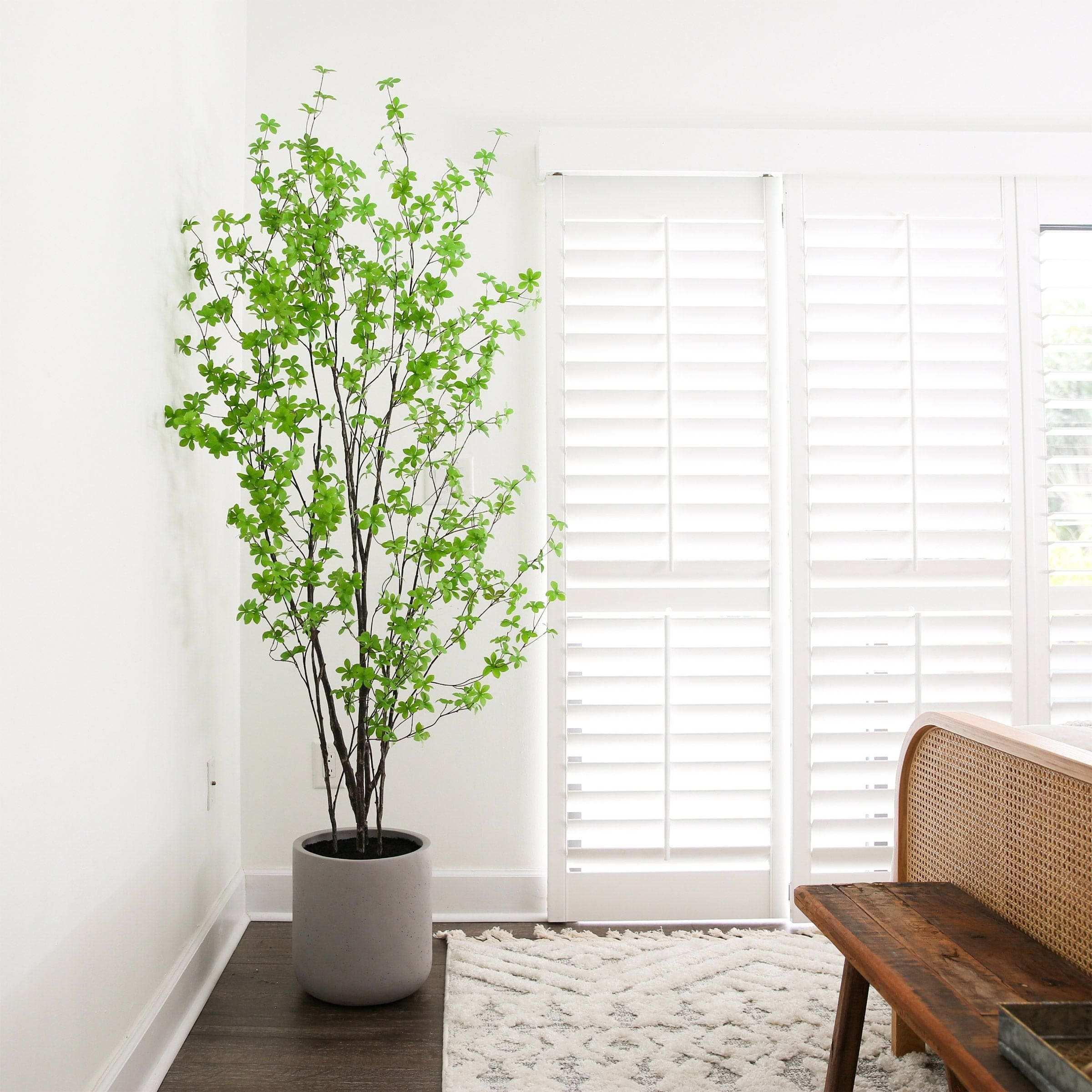 Faux 7’ Enkianthus Tree - Image 3