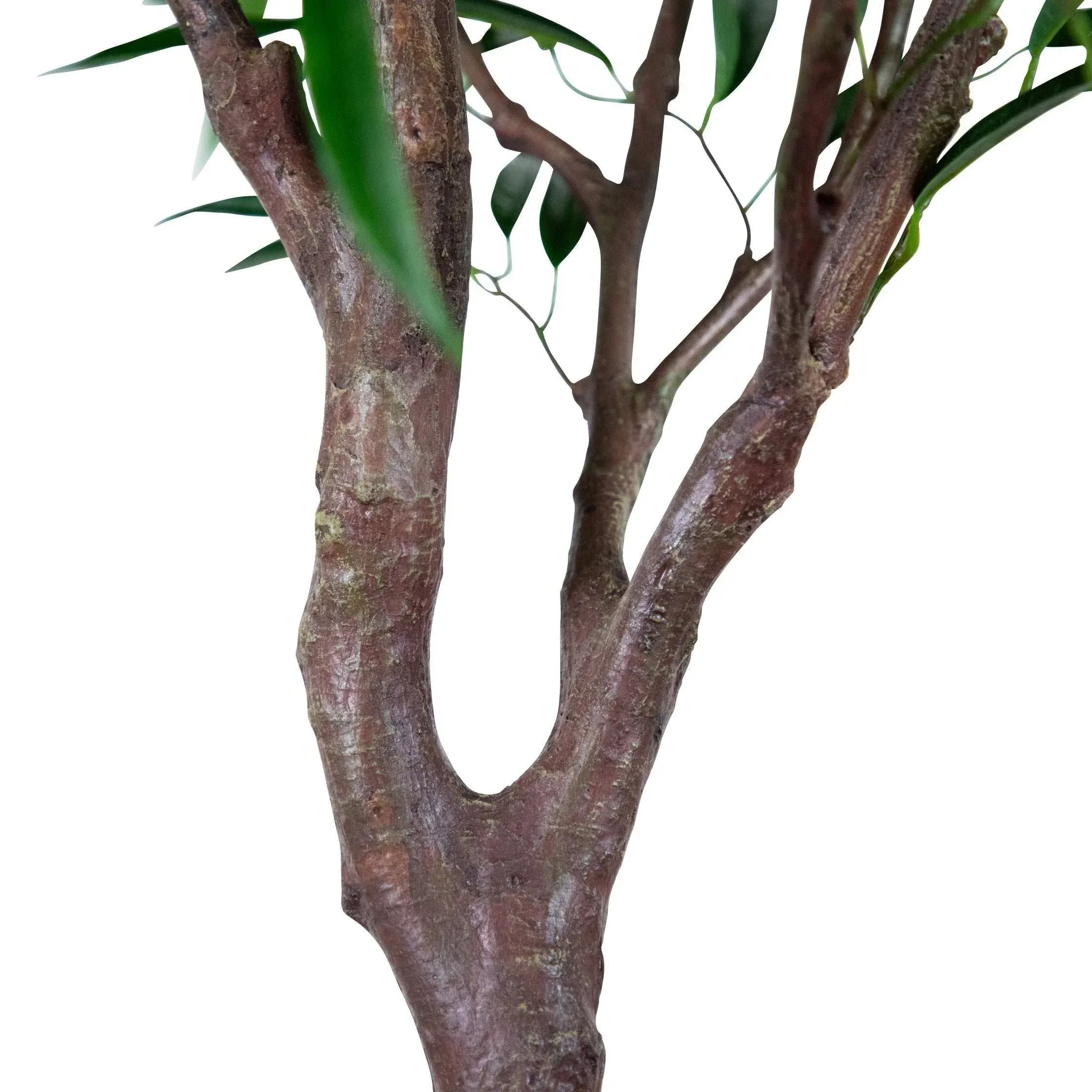 Faux 7' Willow Tree - Image 3