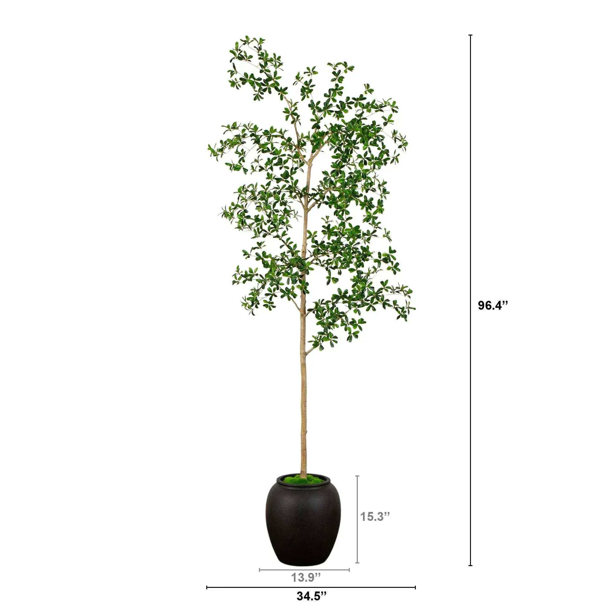 Faux 8’ Quince Tree - Image 2