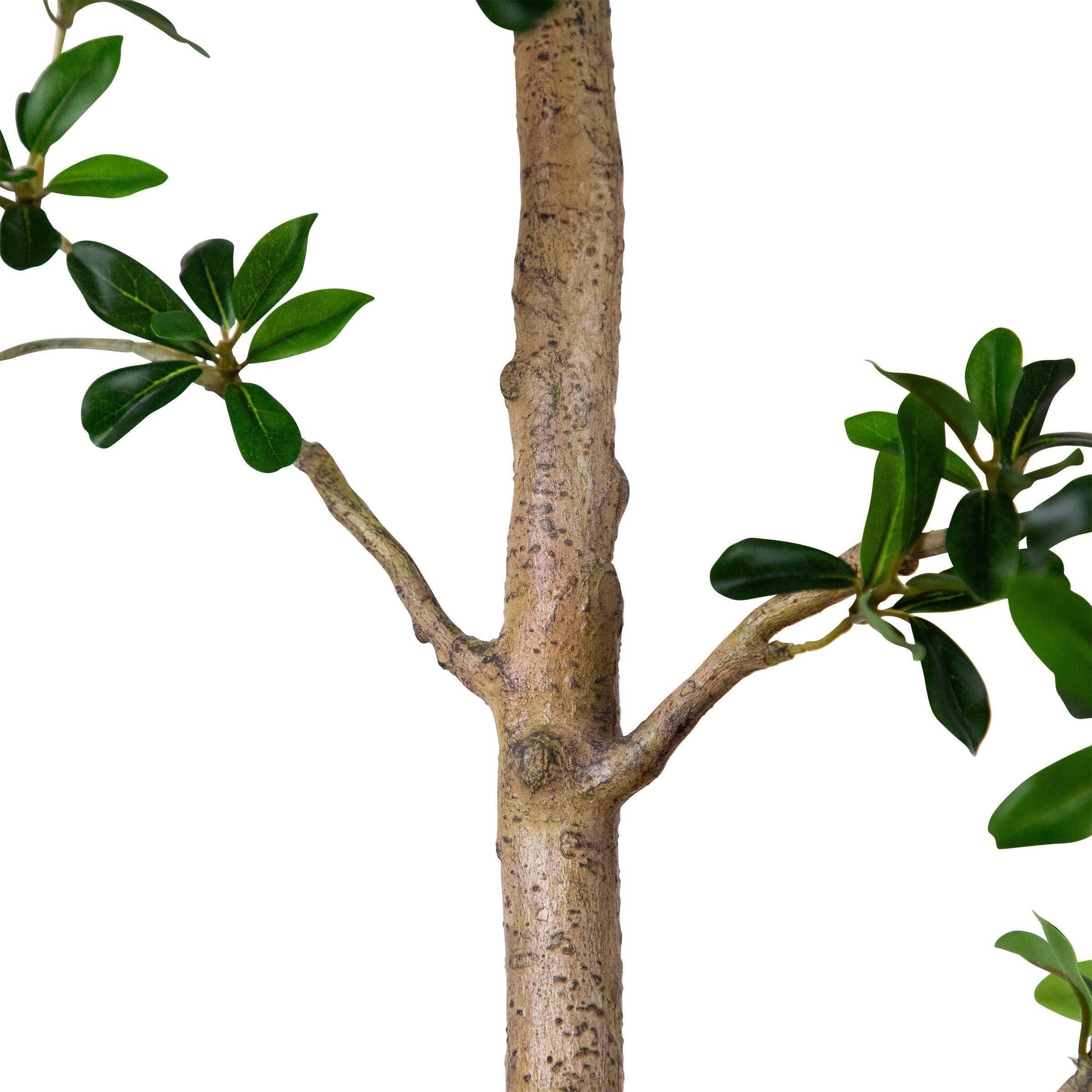 Faux 8’ Quince Tree - Image 4