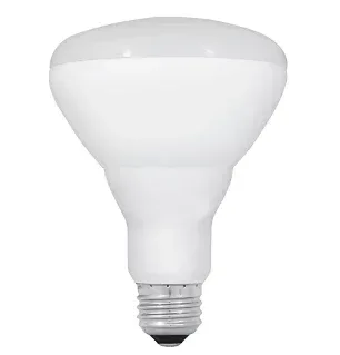 Feit Electric Decade 65W Equivalent LED BR30 Light Bulb, 4 pk. - Daylight