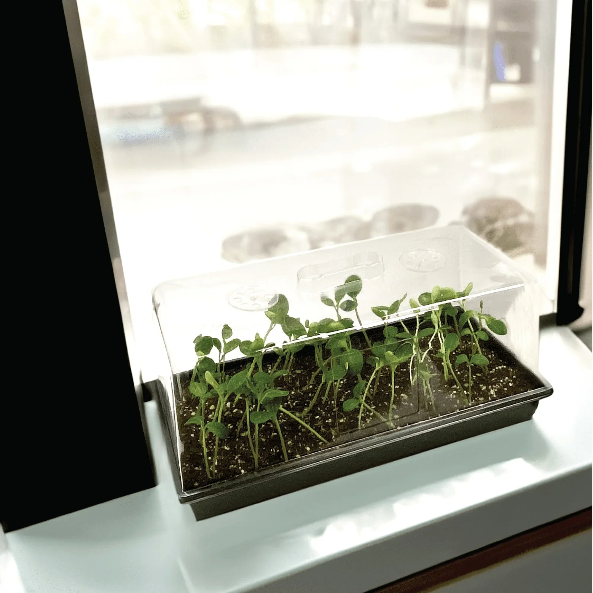 Ferry-Morse Durable Seed Starting Tray with Watertight Base, Reusable Plastic Design - Image 5