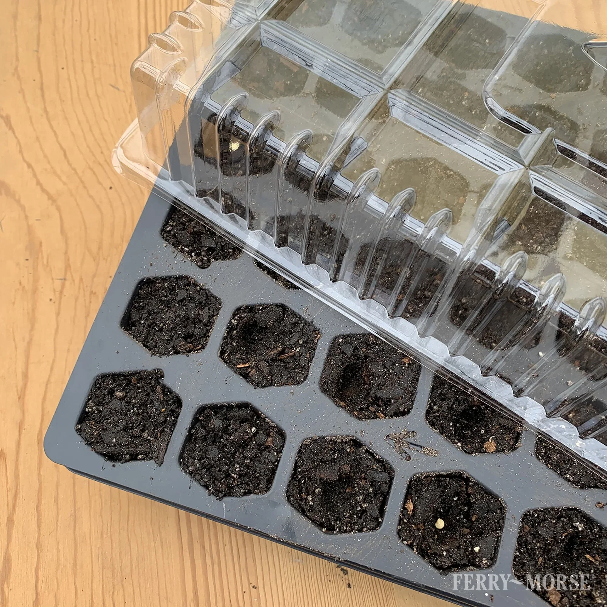 Ferry Morse Pro-Hex Seed Starting Tray 72 Cells - Reusable Plastic Tray - Image 2