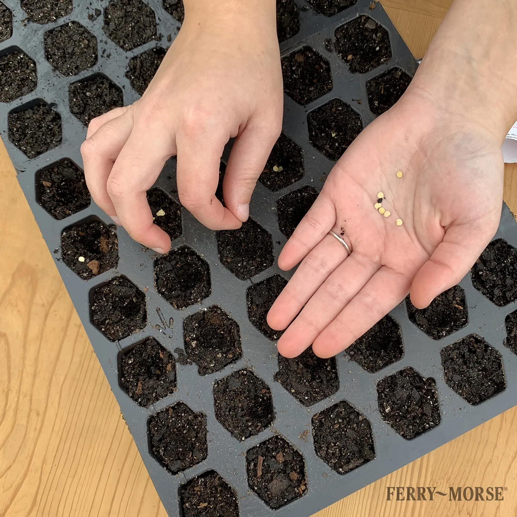 Ferry Morse Pro-Hex Seed Starting Tray 72 Cells - Reusable Plastic Tray - Image 9