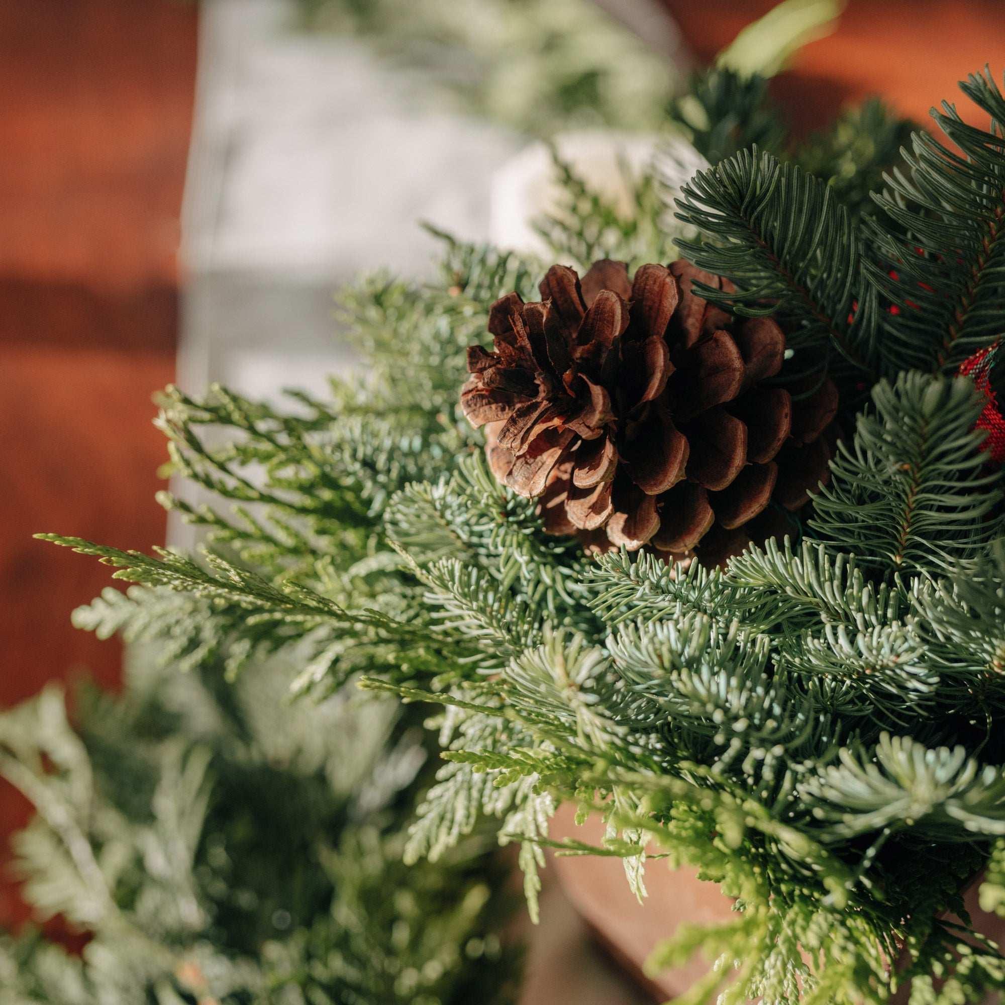 Fresh Northwest Greens Holiday Centerpiece - Image 3