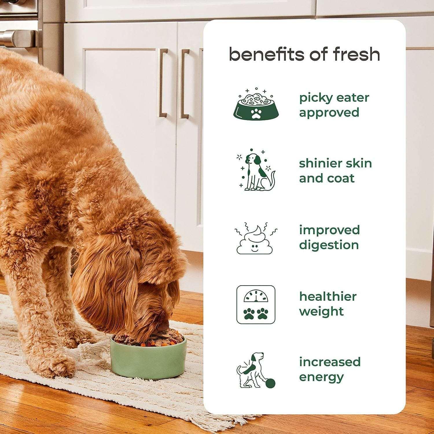 Freshpet Complete Nutrition Chicken Recipe Fresh Dog Food, 1.5 lb Rolls, 6 ct. - Image 9