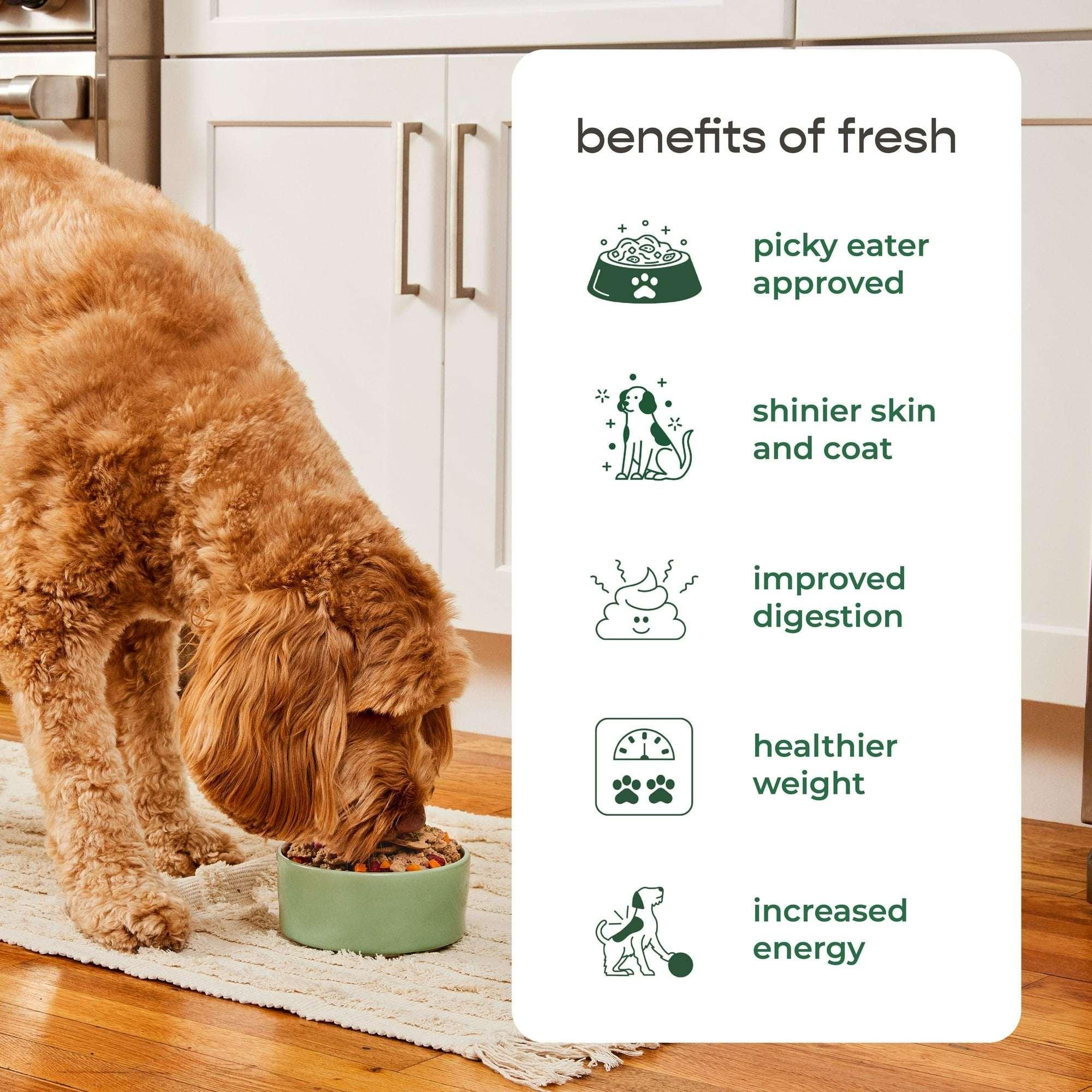 Freshpet Fresh Dog Food, Multi-Protein Recipe, Freshly Roasted Meals, 3 lb. - Image 5