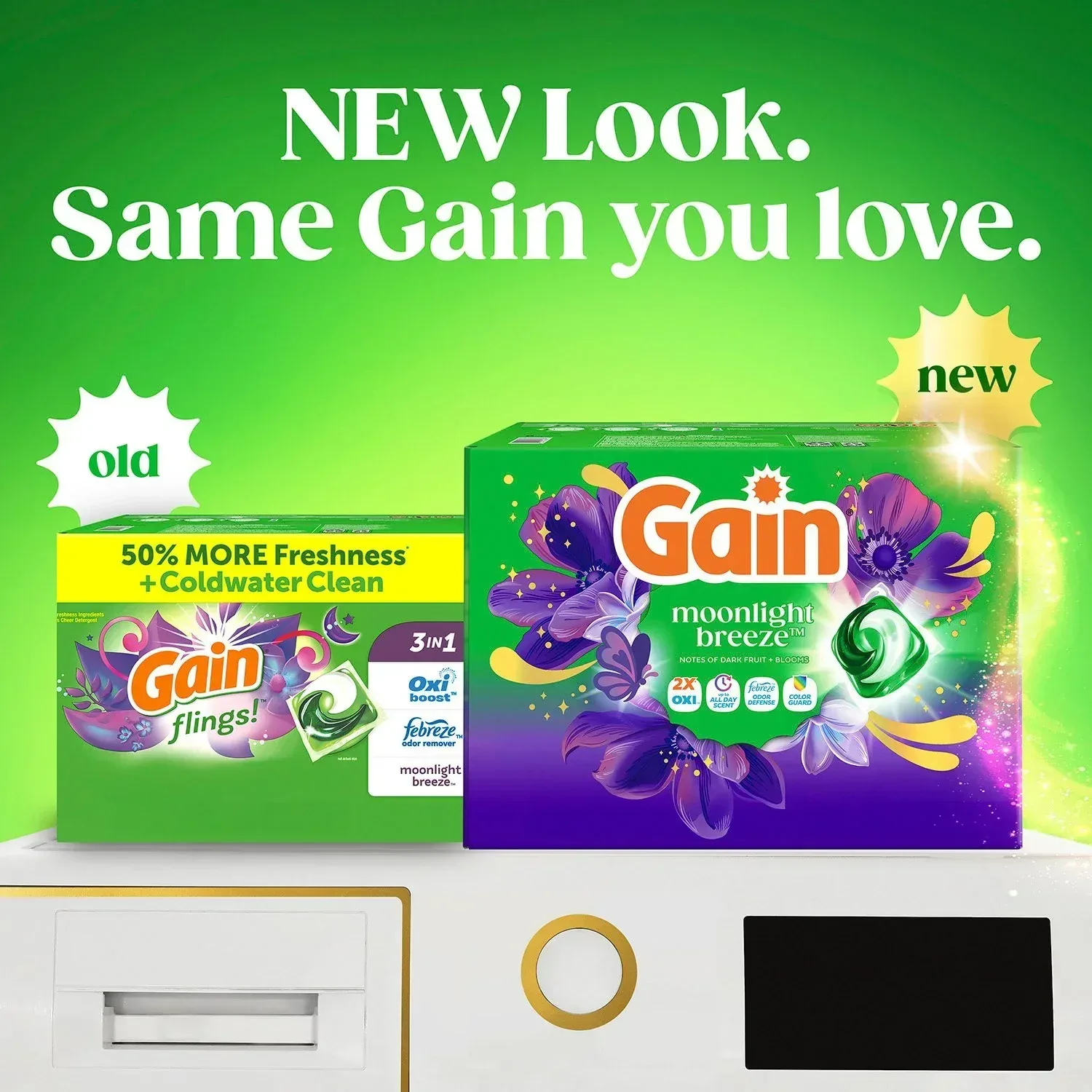 Gain Flings 4 in 1 Laundry Detergent Pacs, Moonlight Breeze, 152 ct. - Image 10