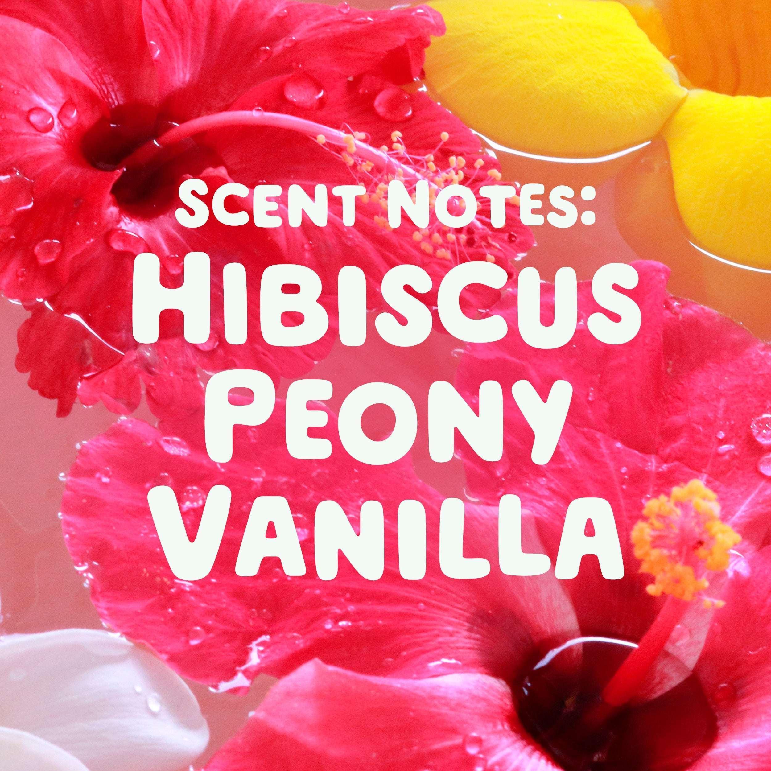 Gain Happy Super-Sized Flings Laundry Detergent Packs, Hibiscus Hula Scent, 18 Count - Image 6