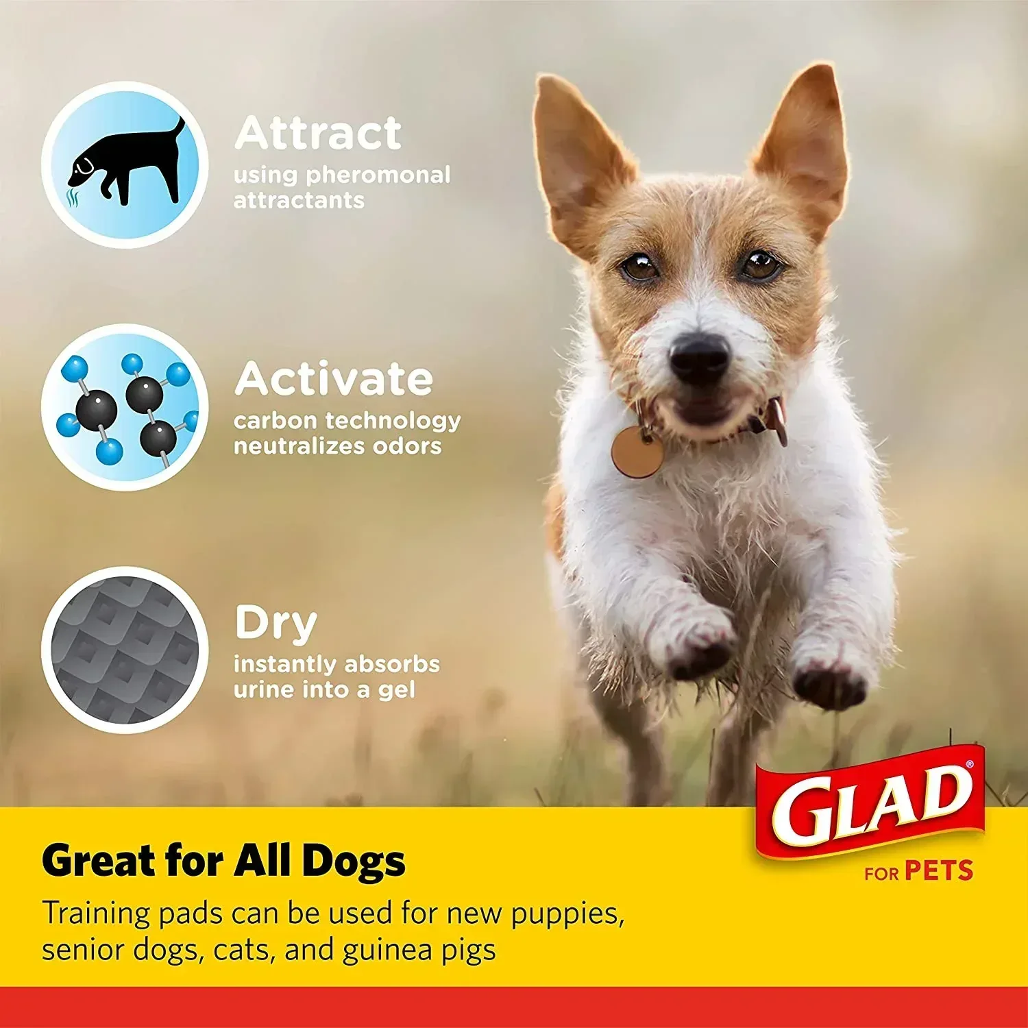 Glad Activated Charcoal Leak-Resistant Training Pads for Dogs, 23in x 23in, 100 Count - Image 6