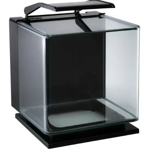 GloFish Betta Glass Aquarium Kit 3 Gallons, Includes LED Lighting and Filter - Image 2