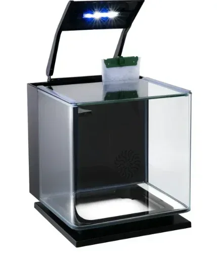 GloFish Betta Glass Aquarium Kit 3 Gallons, Includes LED Lighting and Filter - Image 3
