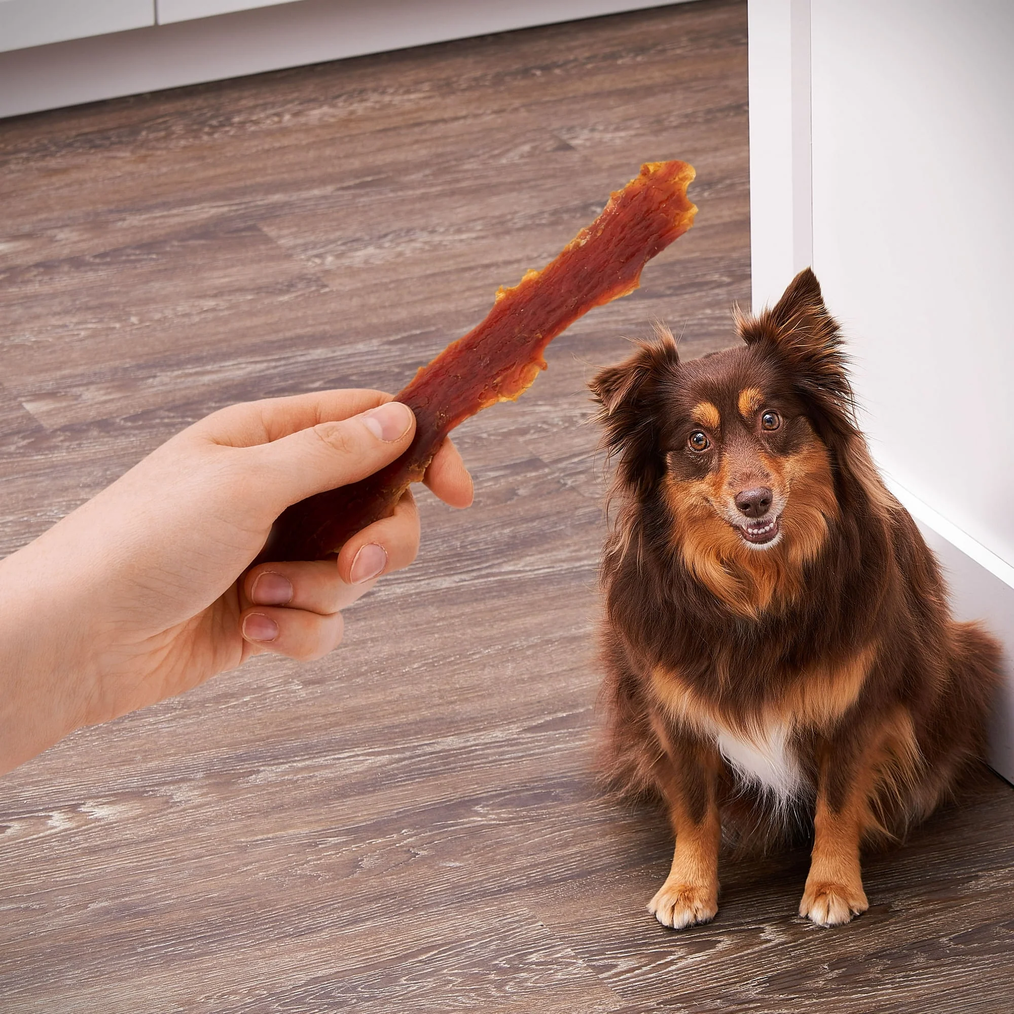 Golden Rewards Duck Jerky Premium Treats for Dogs - Image 22