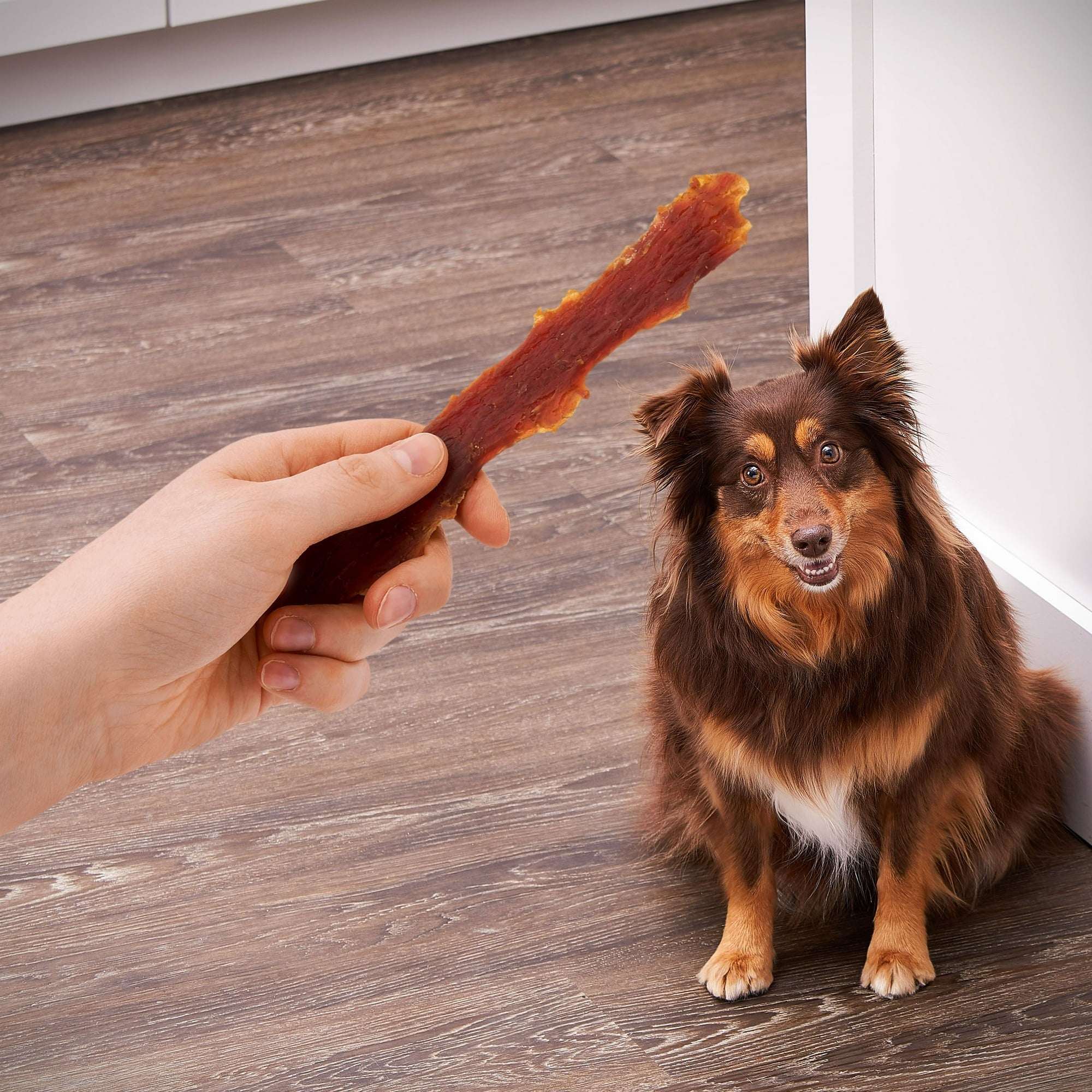 Golden Rewards Duck Jerky Premium Treats for Dogs - Image 3