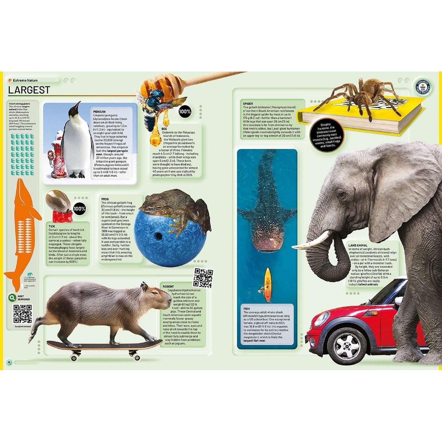 Guinness World Records 2026, Hardcover - Image 2
