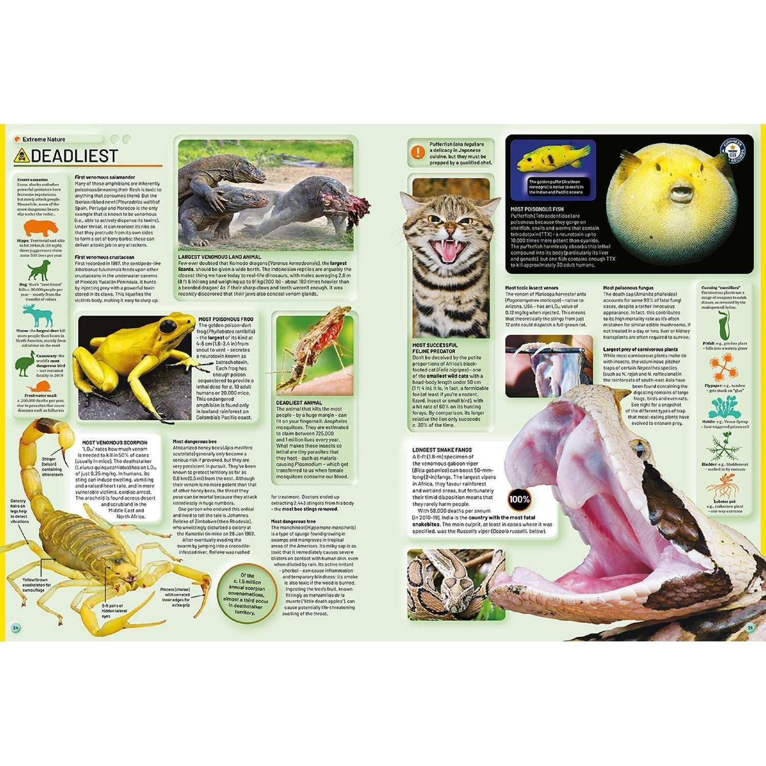 Guinness World Records 2026, Hardcover - Image 3