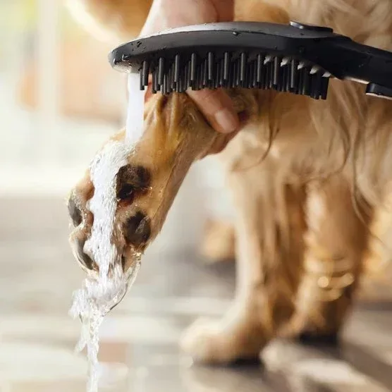 Hansgrohe Dog Showerhead - Image 2