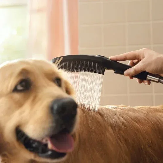 Hansgrohe Dog Showerhead - Image 4