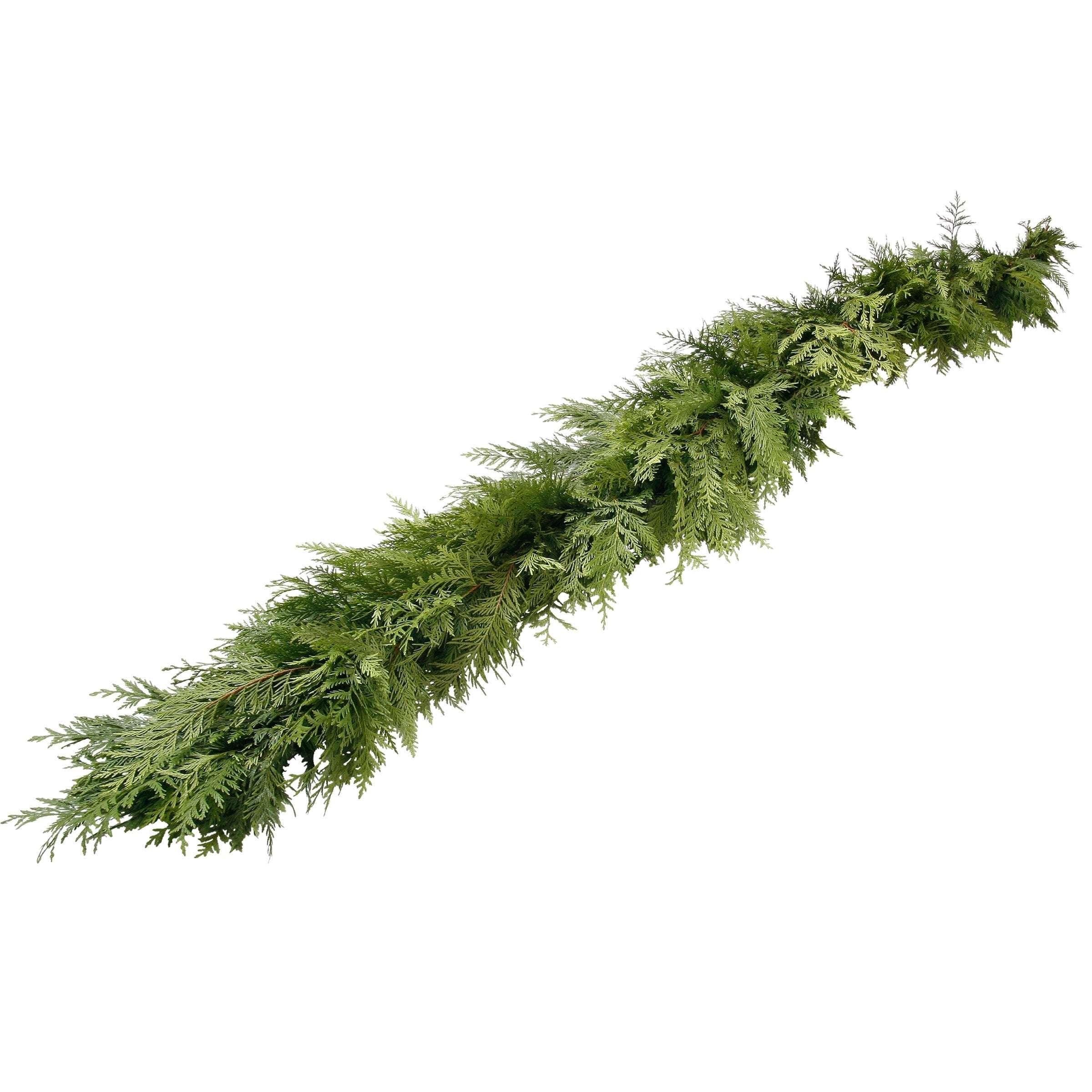 Holiday Home Greens Collection - Image 8