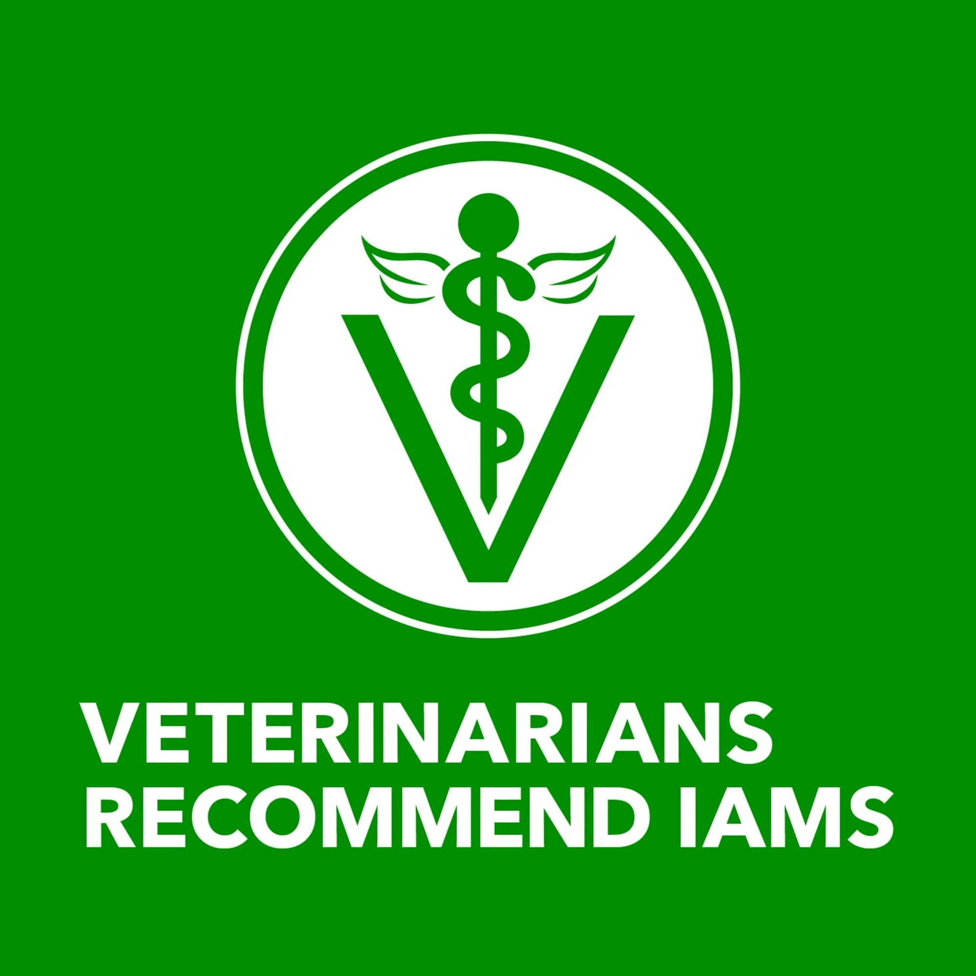 Iams Proactive Health Chicken And Whole Grain Rice Wet Dog Food, 13 Oz Cans (6 Pack) - Image 8
