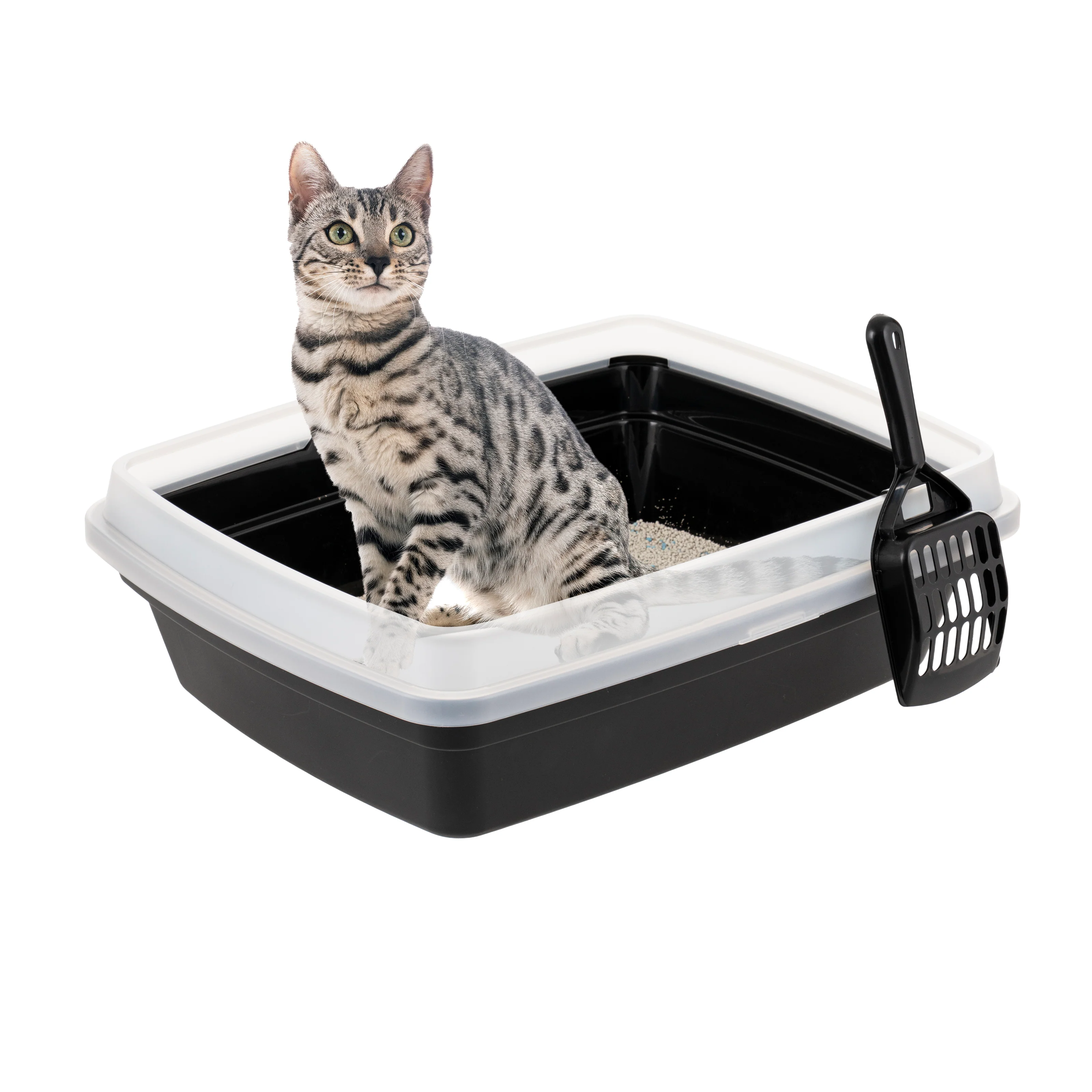 'IRIS Open Top Cat Litter Box with Scoop, Plastic Pan , Black - Image 2