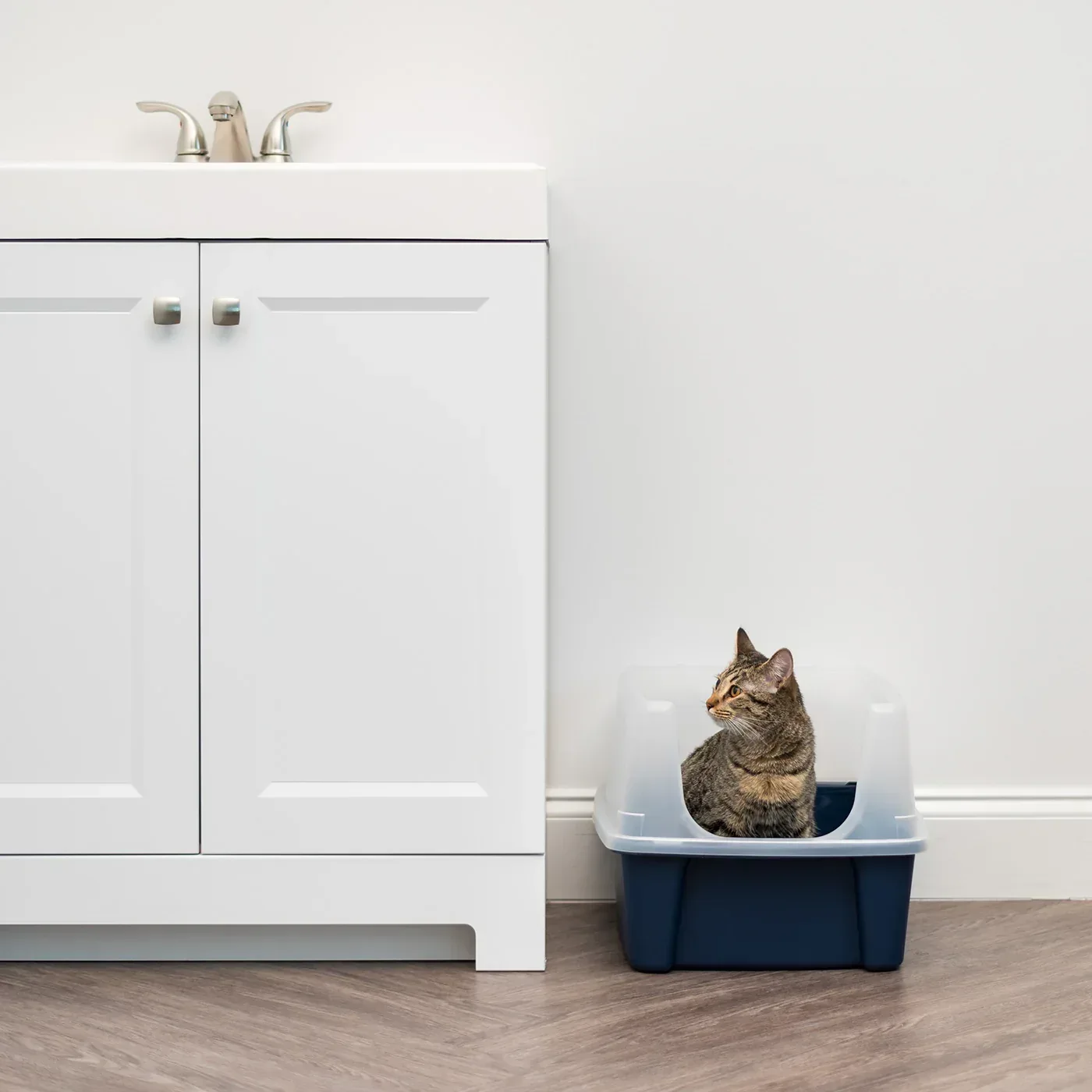 IRIS Open Top Cat Litter Box with Shield, Navy - Image 5