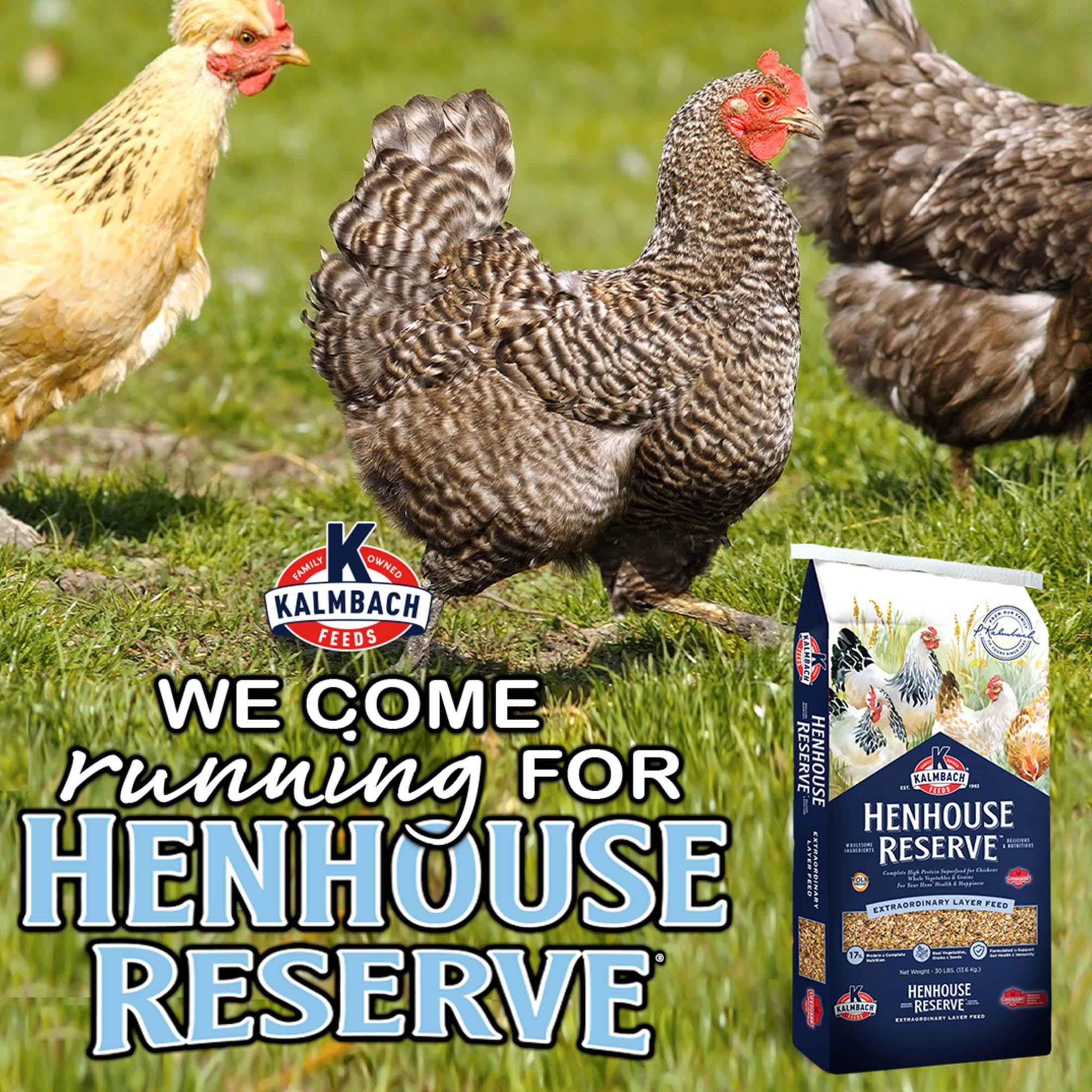 Kalmbach Feeds Henhouse Reserve - Extraordinary Whole Grain Layer Feed for Chickens, 30 lb - Image 8