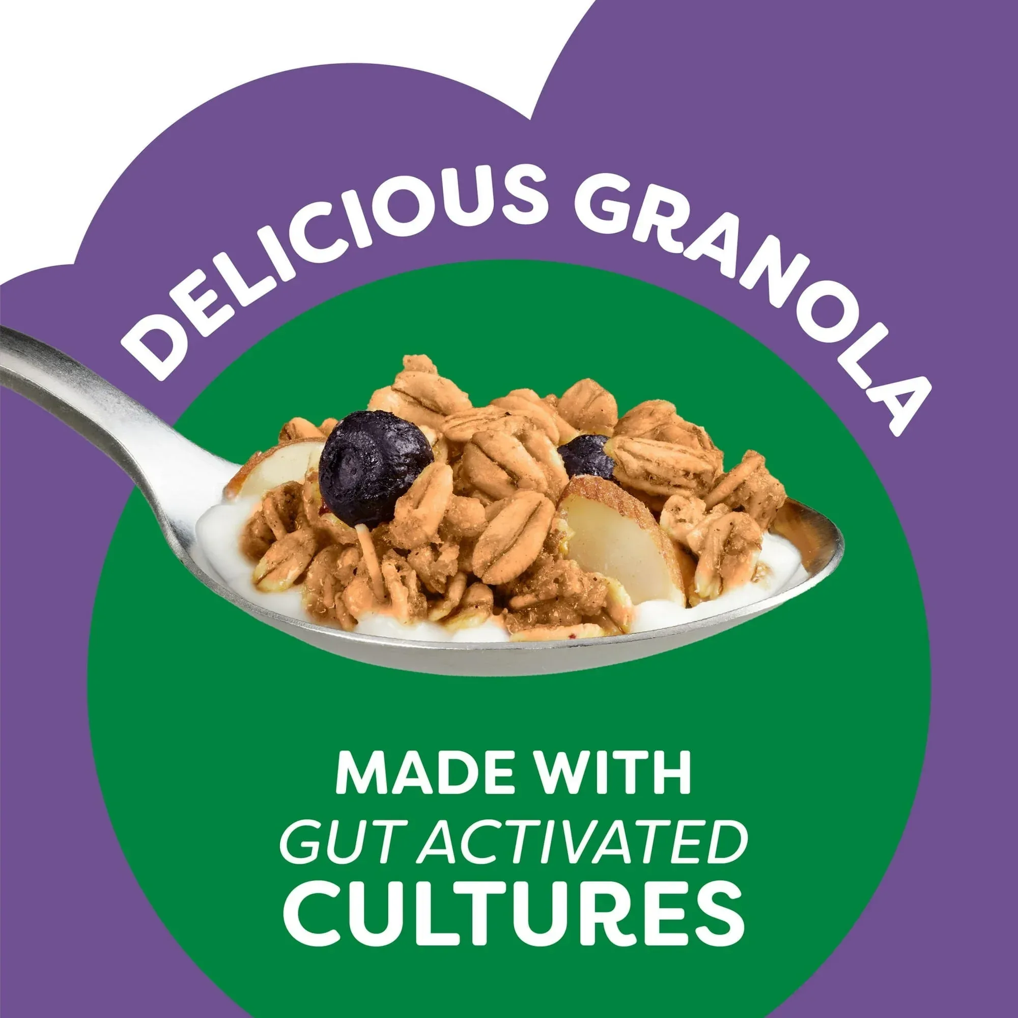 Kashi Gut Health Blueberry Almond Granola, Prebiotics and High Fiber, Whole Grain, 8 oz - Image 6