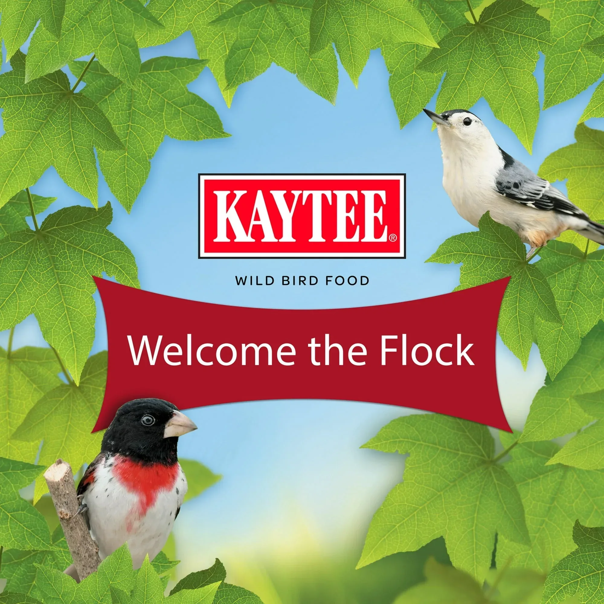 Kaytee All American Wild Bird Stand Up 5 Pounds - Image 10