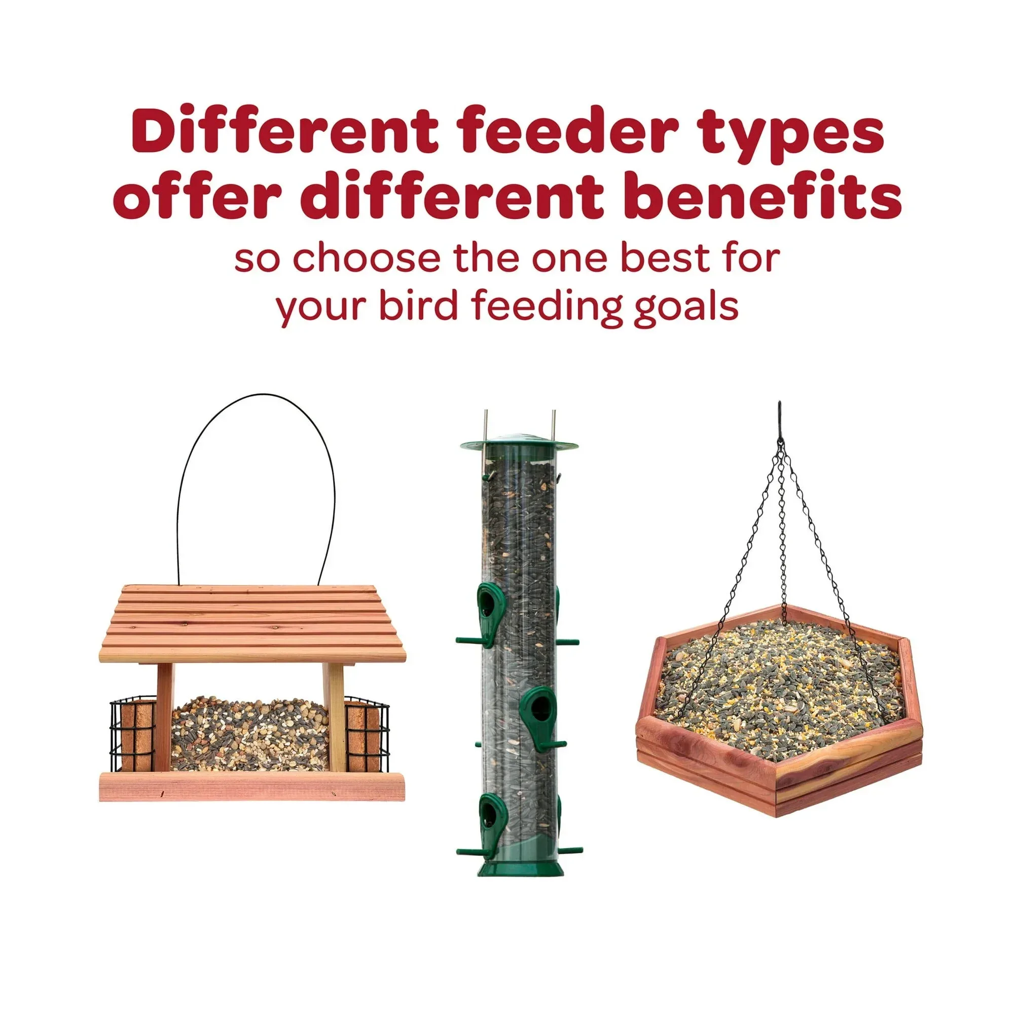 Kaytee All American Wild Bird Stand Up 5 Pounds - Image 5