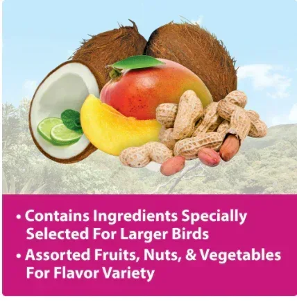 Kaytee Fiesta Big Bites - Macaw 10 lb - Image 2