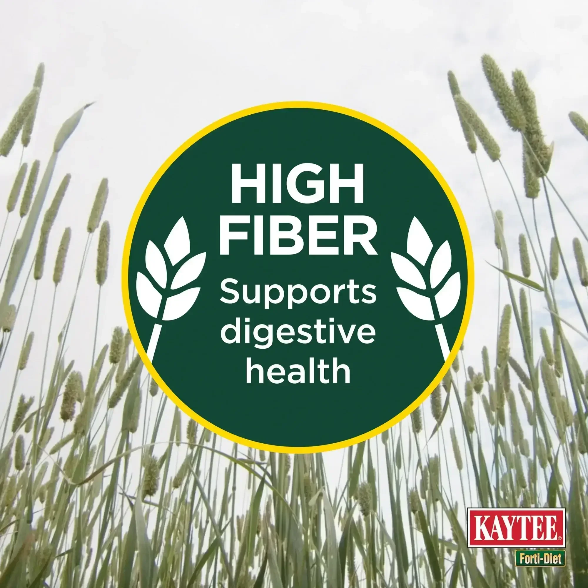 Kaytee Forti-Diet All Natural Timothy Hay , 96 ounce - Image 5