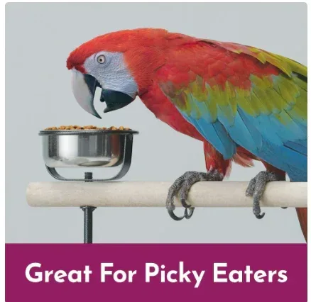 Kaytee Nutri Soft Macaw & Cockatoo Pet Bird Food, 3 lb. - Image 3